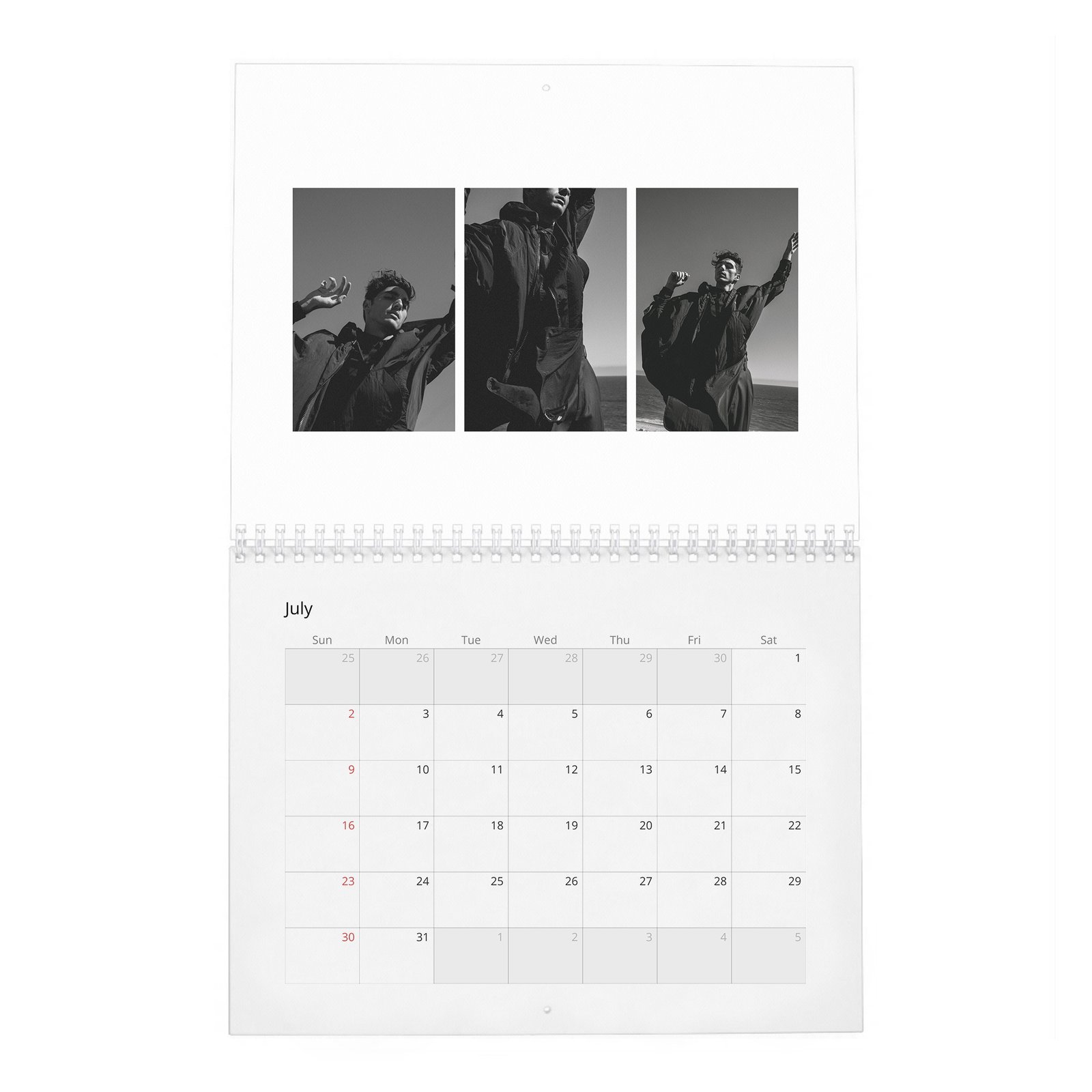 Taylor Zakhar Perez - Content 2027 Wall Calendar