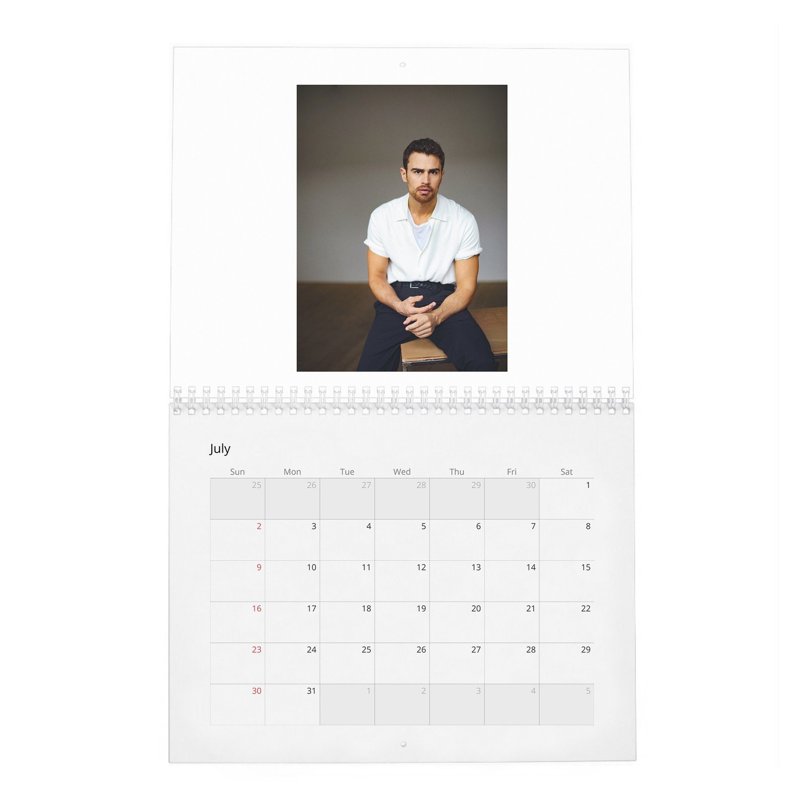 07 Theo James - Objectification And Being A Heart-Throb 2027 Wall Calendar