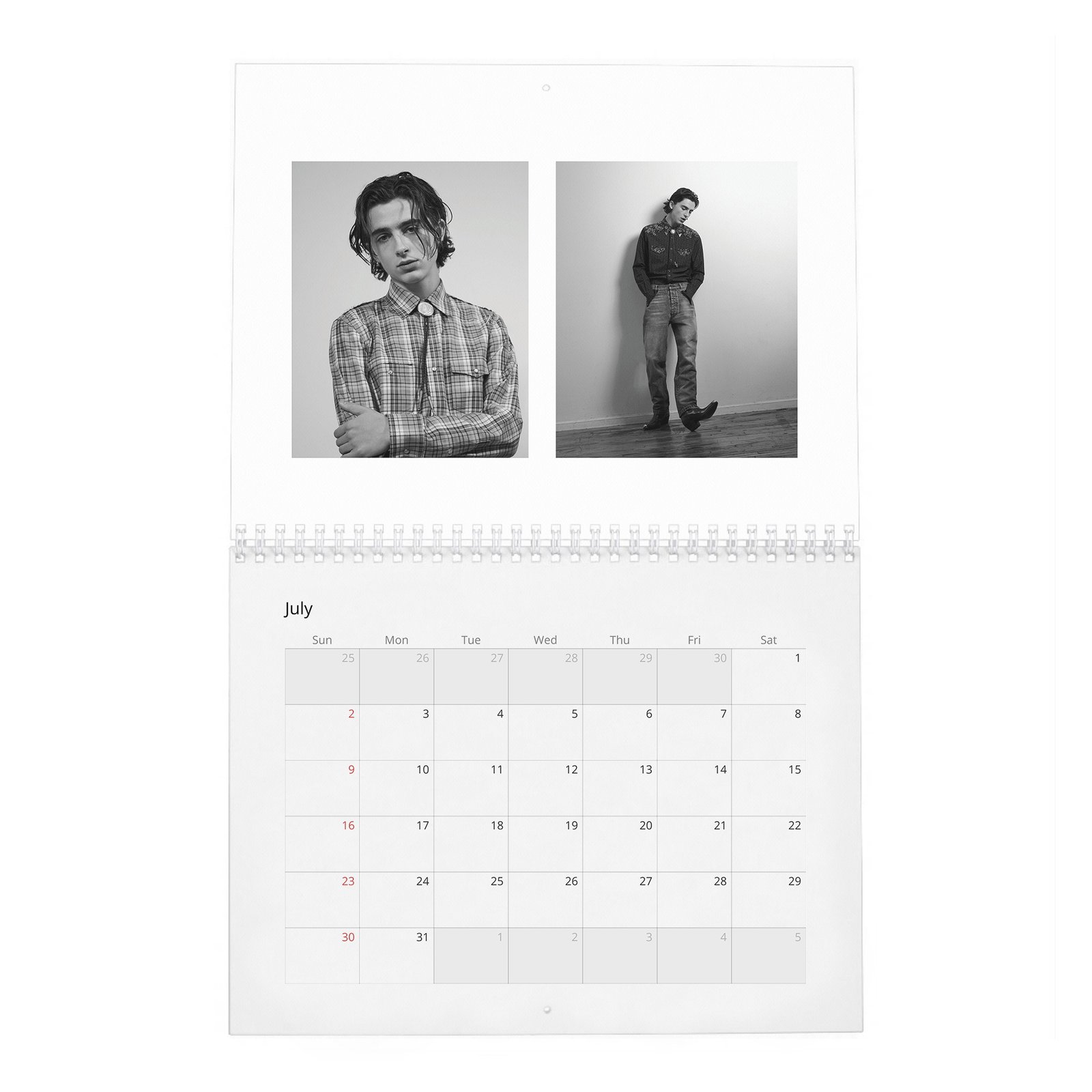 07 Timothée Chalamet - A Day In The Life Of 2027 Wall Calendar