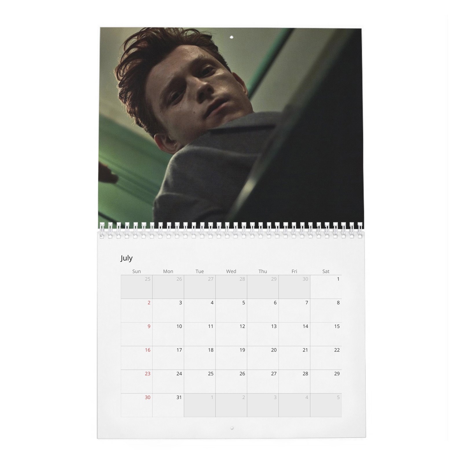 07 Tom Holland - The Charm And Grit Of 2027 Wall Calendar