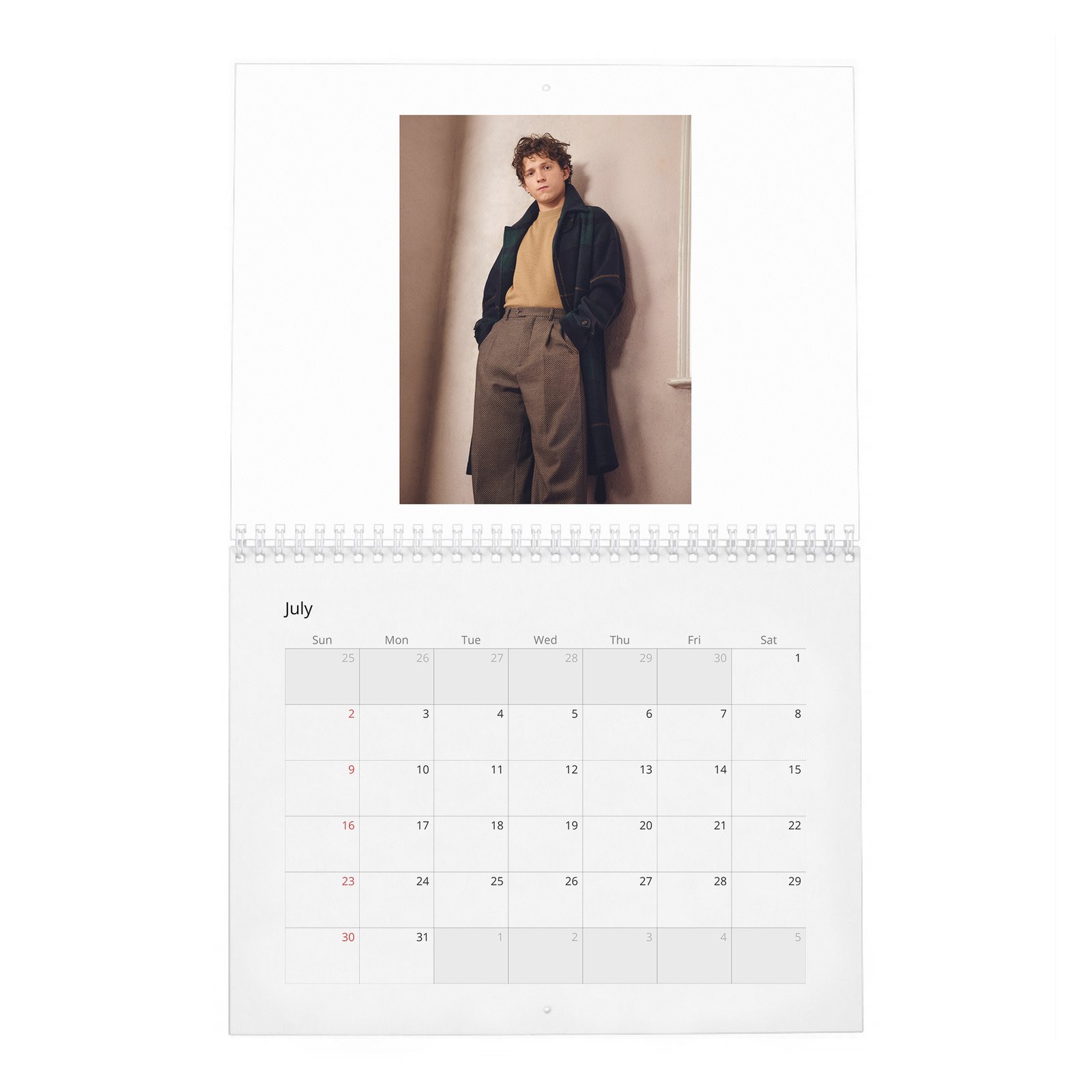 Tom Holland - The Center Of The Web 2027 Wall Calendar
