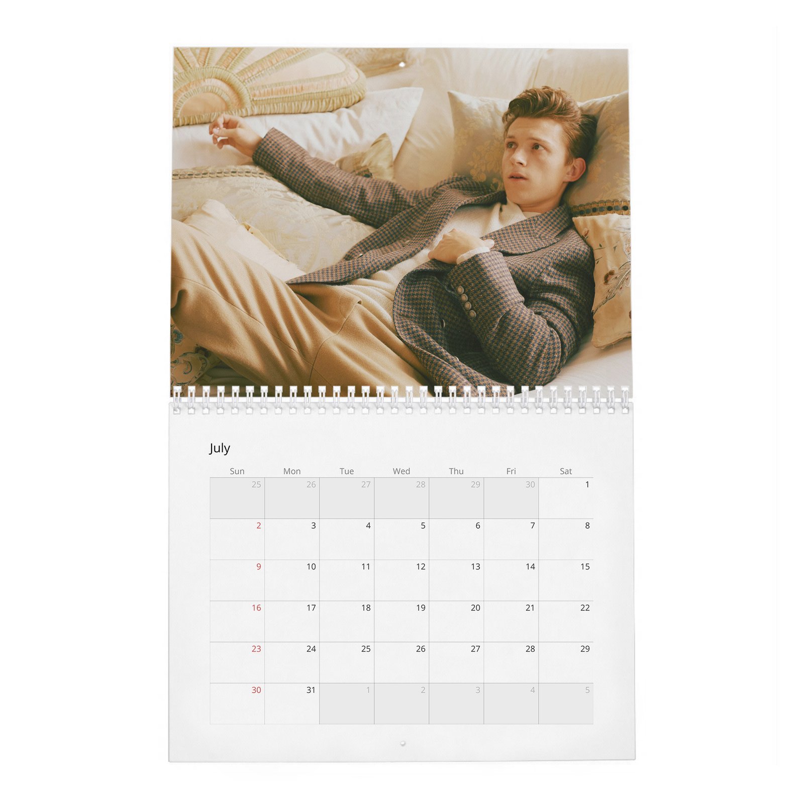 Tom Holland - Braces For Impact 2027 Wall Calendar