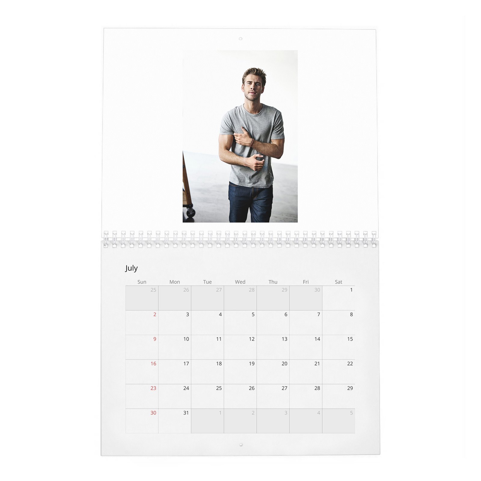 07 Liam Hemsworth - A Force Of Nature 2027 Wall Calendar