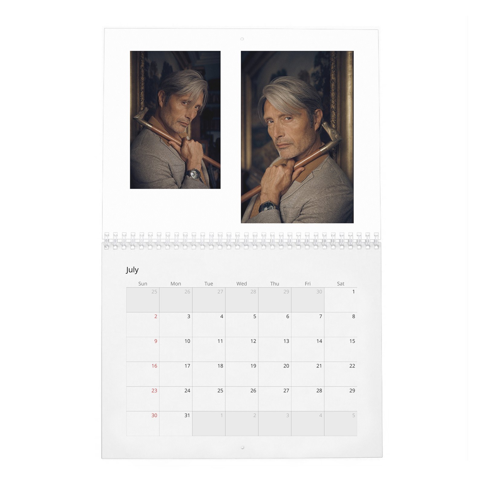 Mads Mikkelsen - The Great Dane 2027 Wall Calendar
