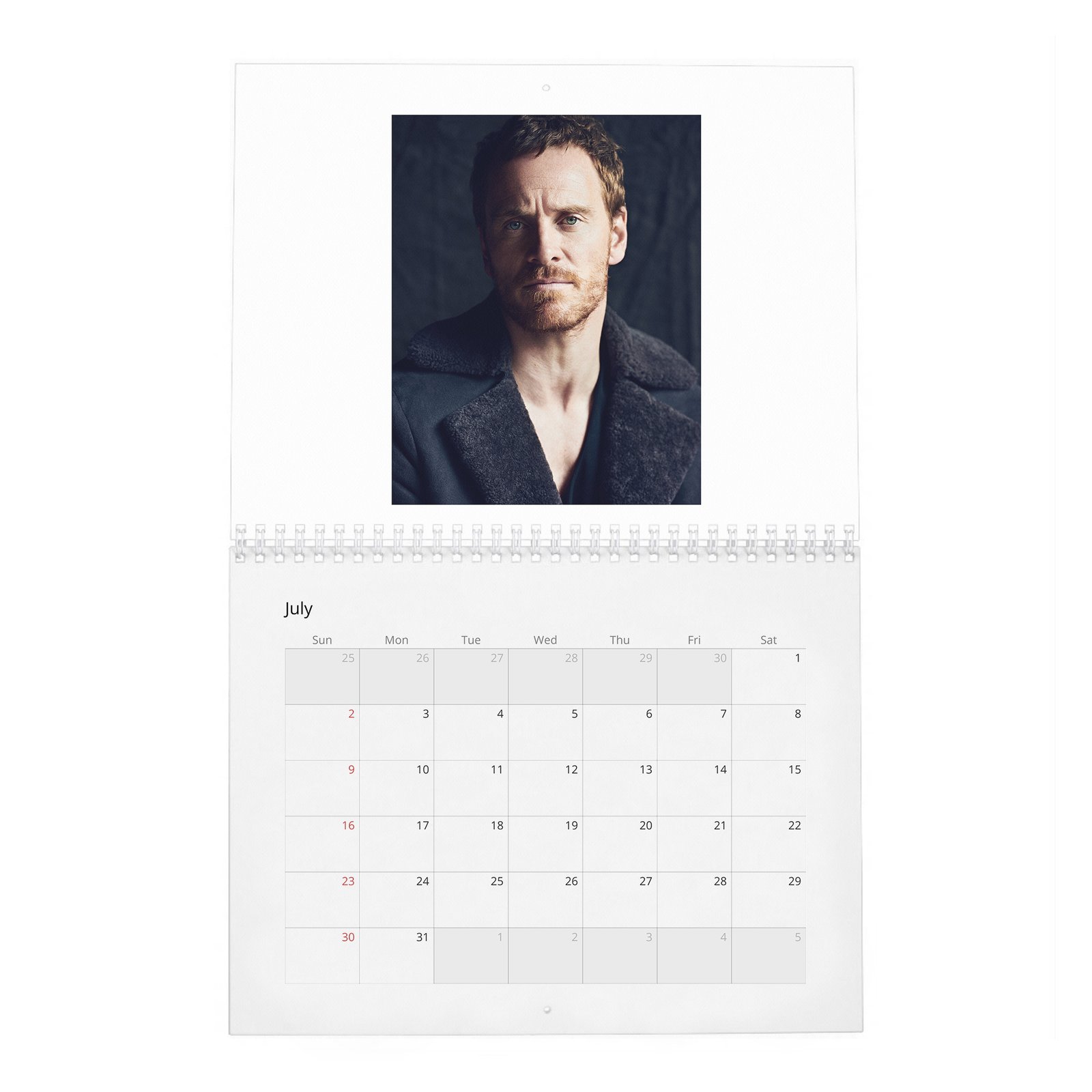 Michael Fassbender - Rules For Living 2027 Wall Calendar