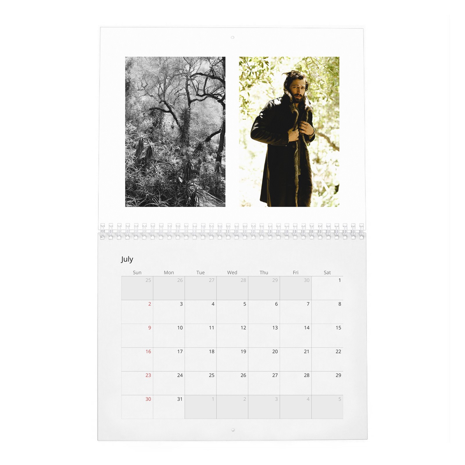 Michiel Huisman - Force At Large 2027 Wall Calendar