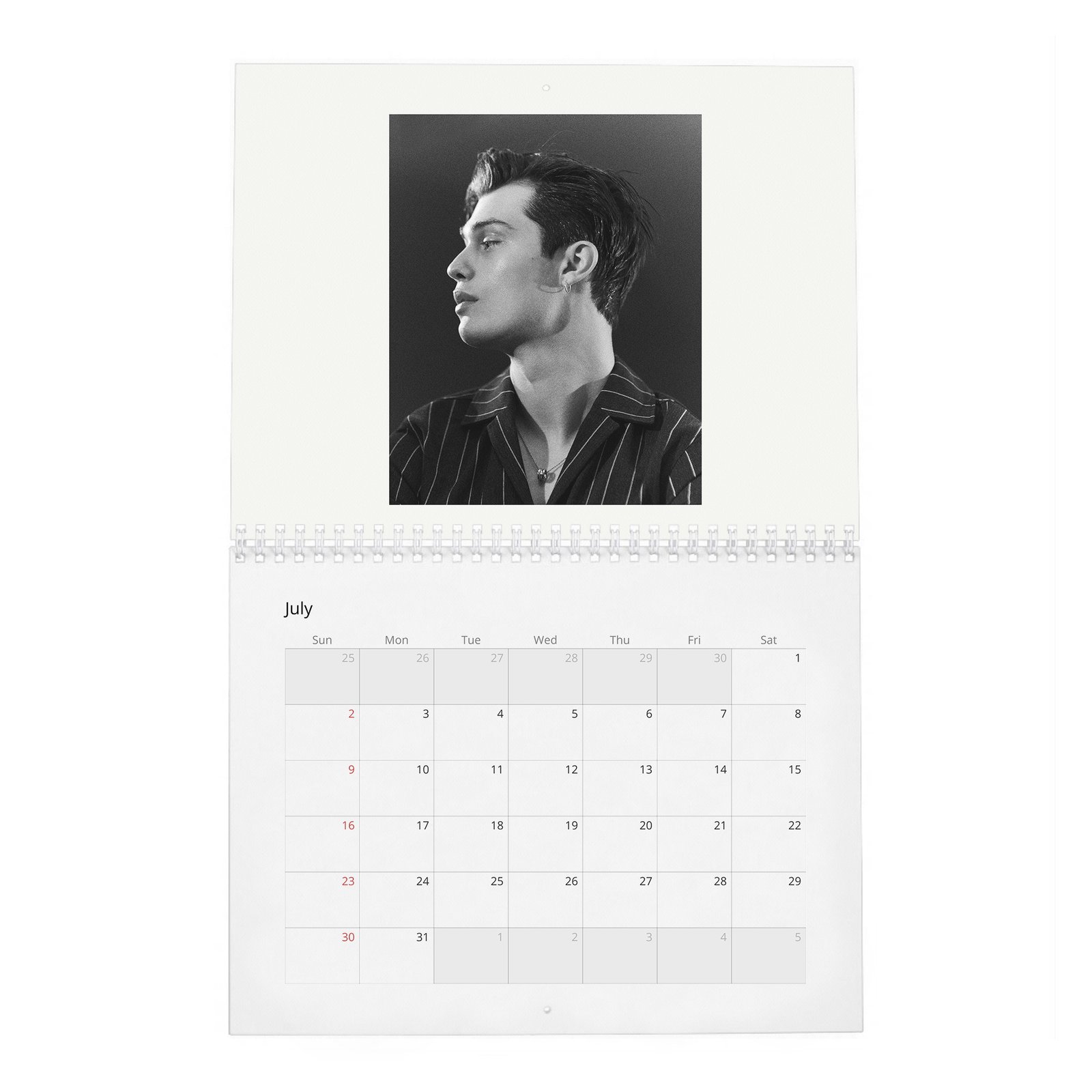 07 Nicholas Galitzine - Flaunt 2027 Wall Calendar