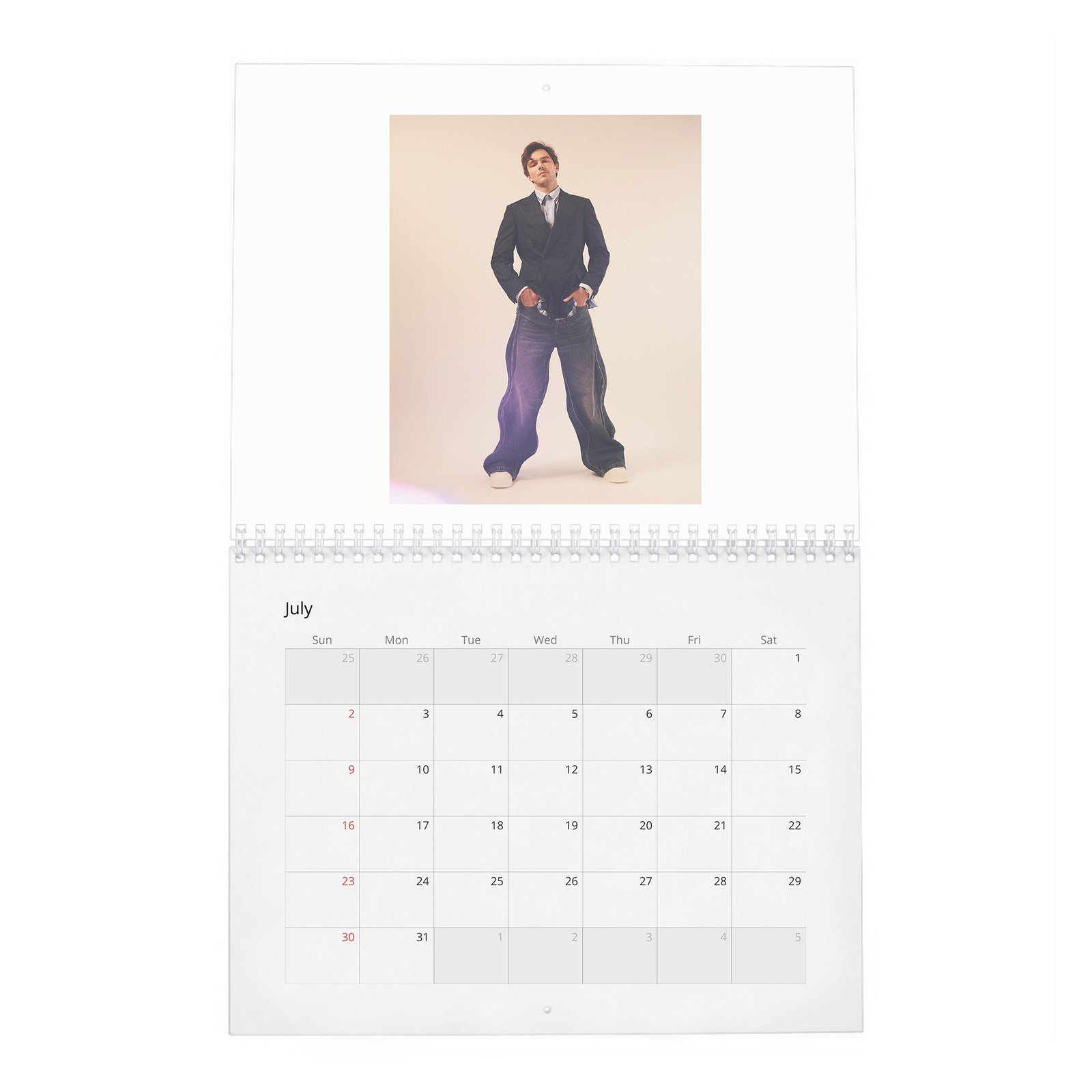Nicholas Hoult - The Great 2027 Wall Calendar