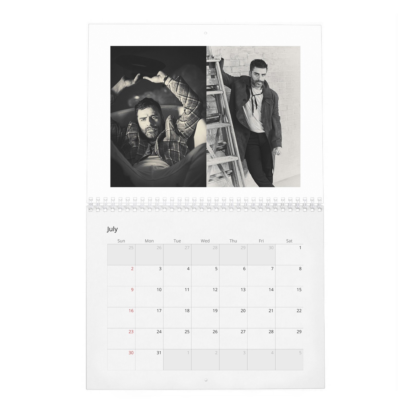 07 Oscar Isaac - The Dream Of 2027 Wall Calendar