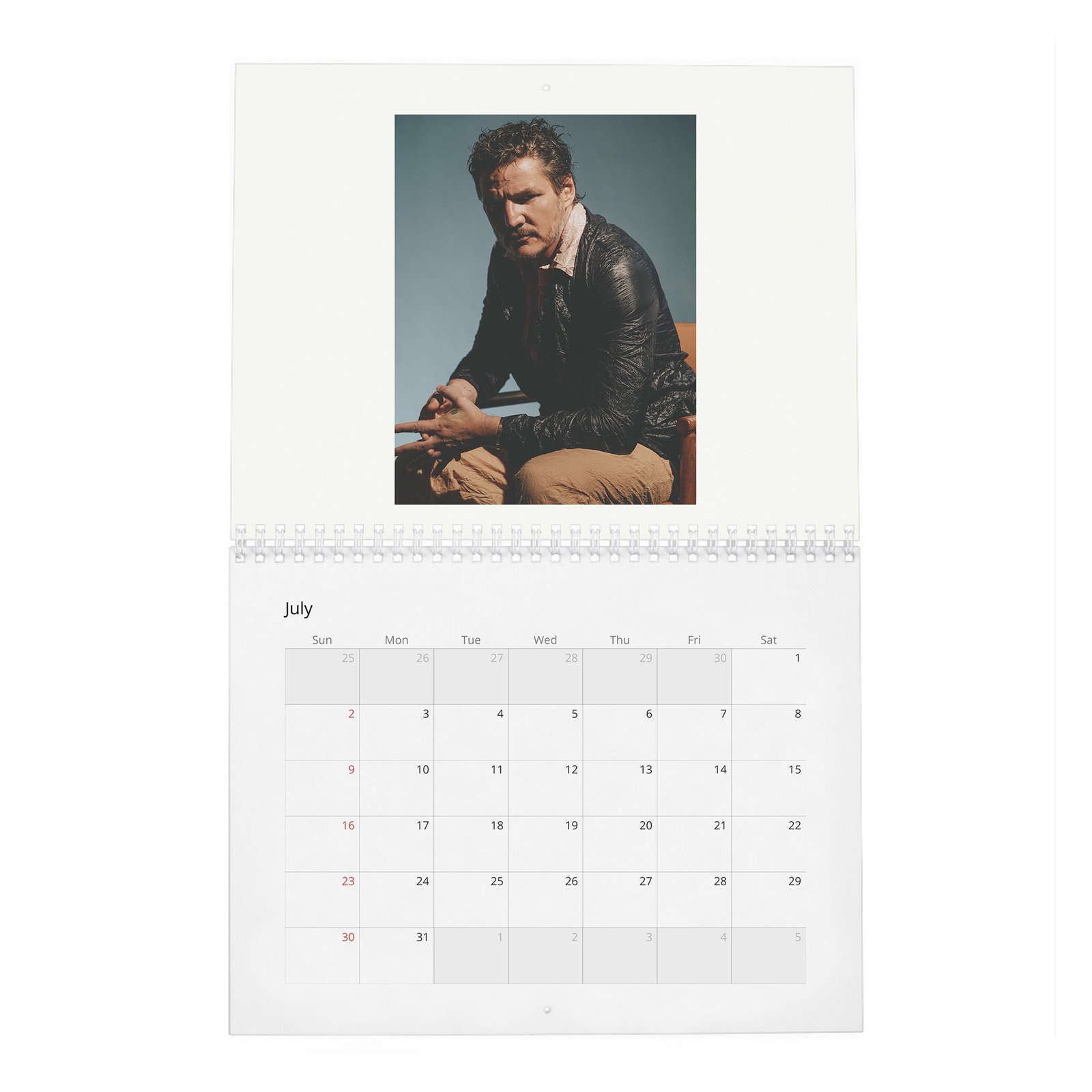 07 Pedro Pascal - Flaunt 2027 Wall Calendar