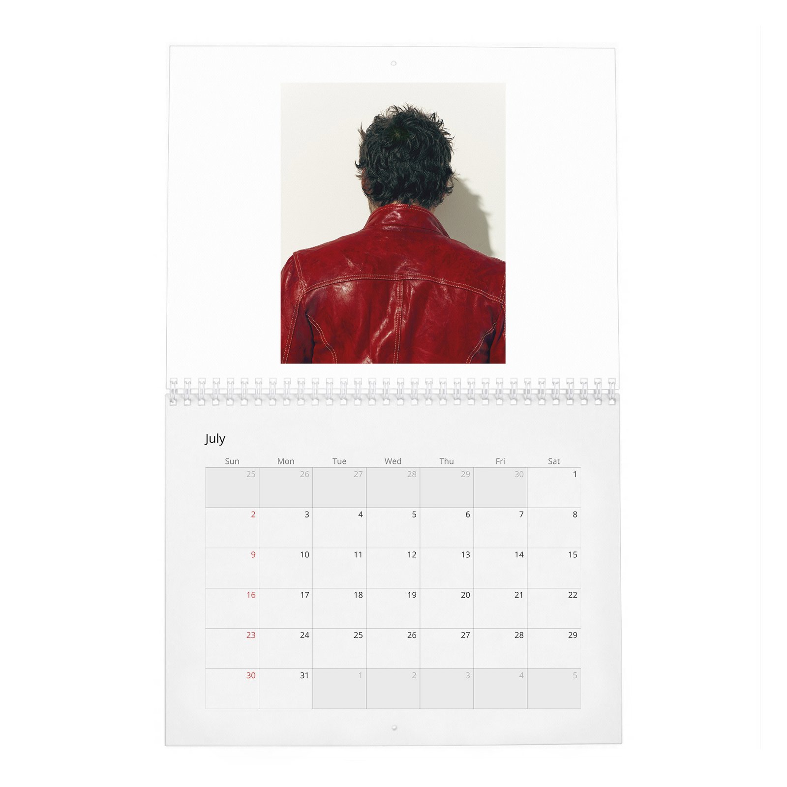 07 Pedro Pascal - The Dangerously Charming 2027 Wall Calendar