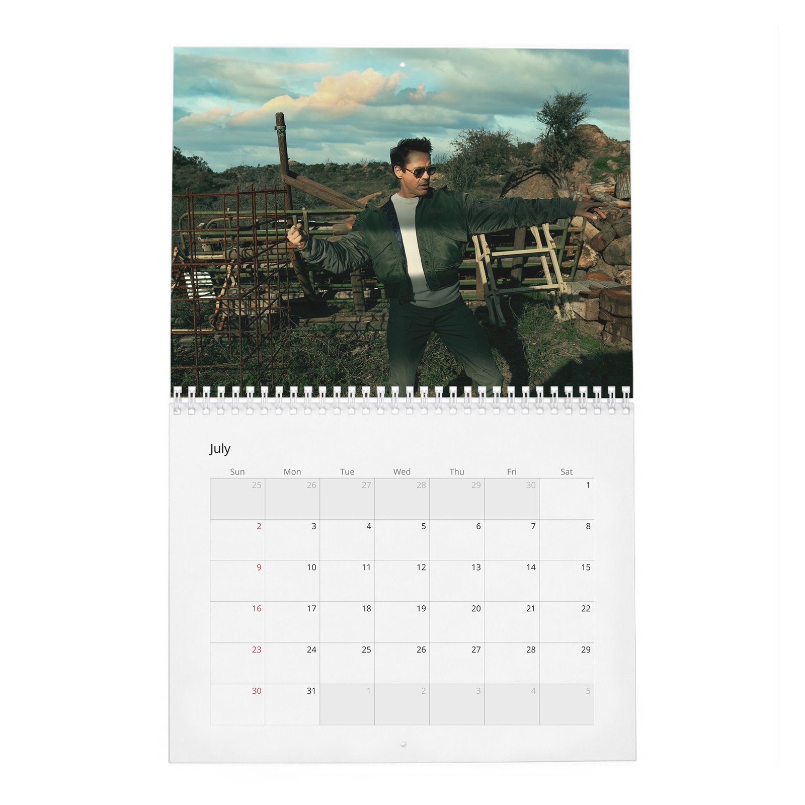07 Robert Downey Jr. - Acts Up 2027 Wall Calendar