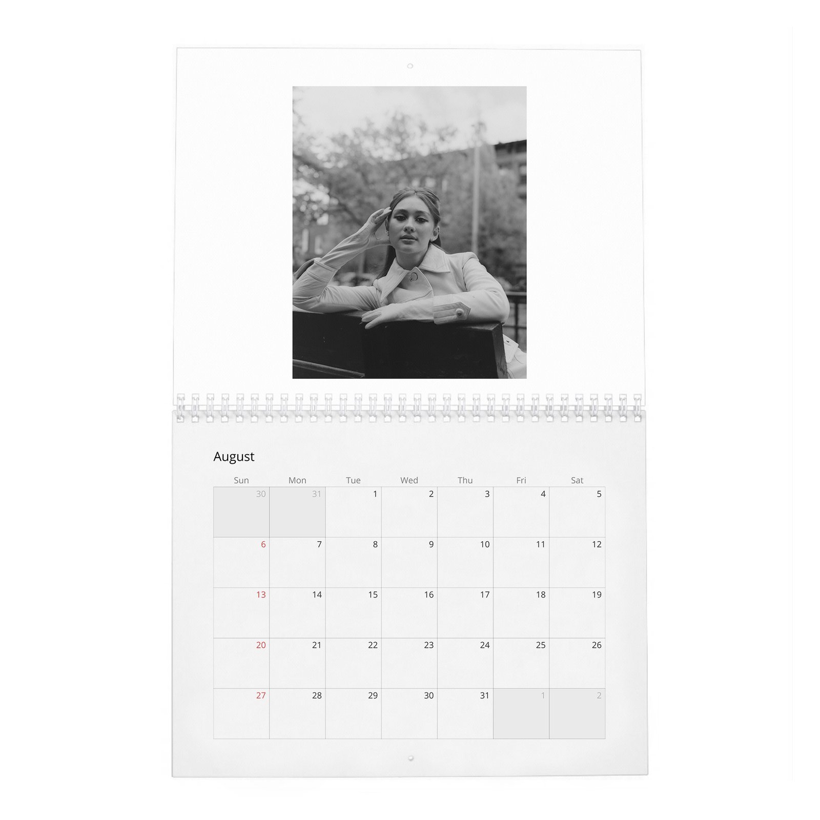 08 Lola Tung - Laterals 2027 Wall Calendar