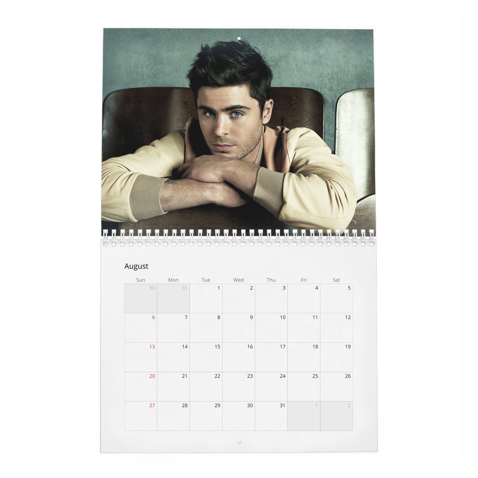 08 Zac Efron - Flaunt 2027 Wall Calendar