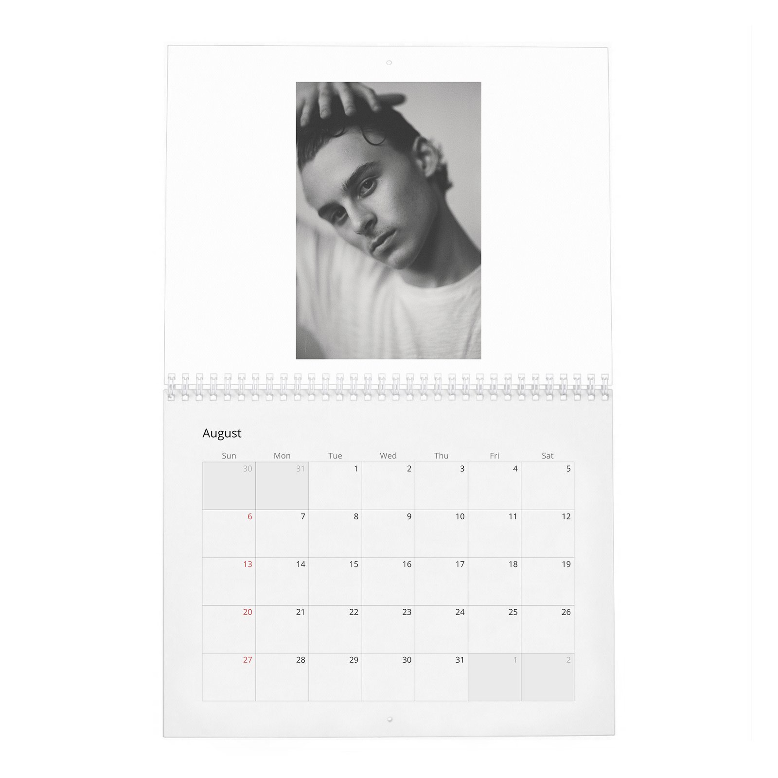 08 Wyatt Oleff - The Future 2027 Wall Calendar