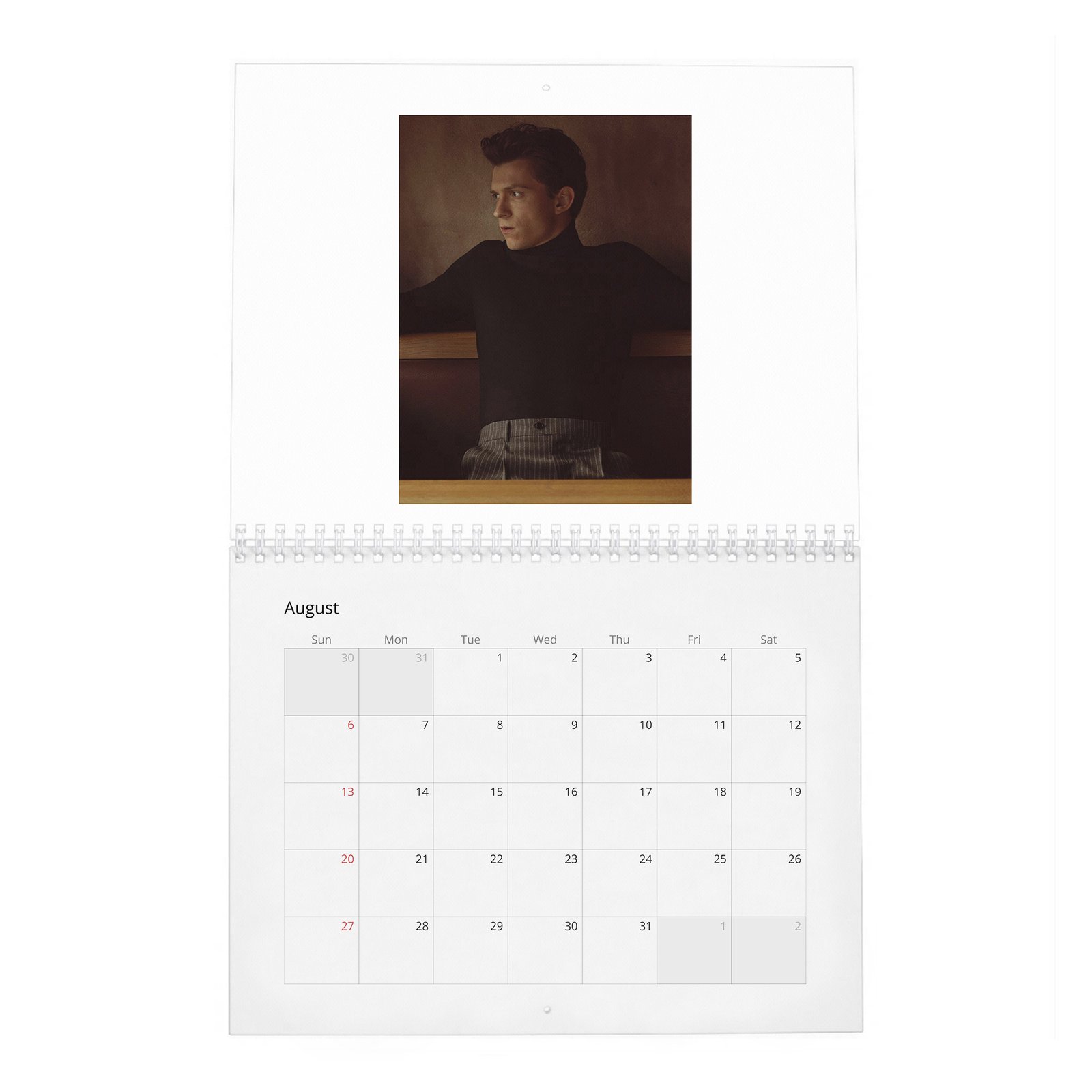 08 Tom Holland - The Charm And Grit Of 2027 Wall Calendar