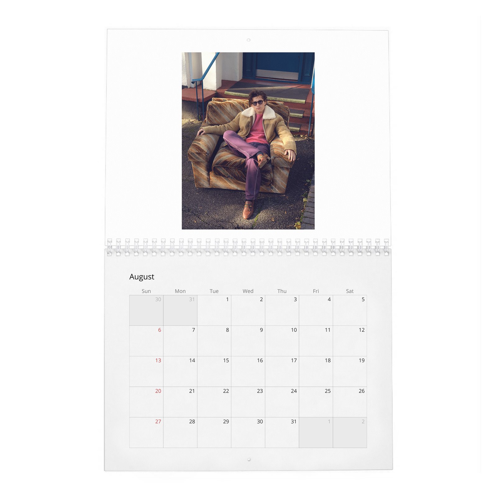 Tom Holland - The Center Of The Web 2027 Wall Calendar