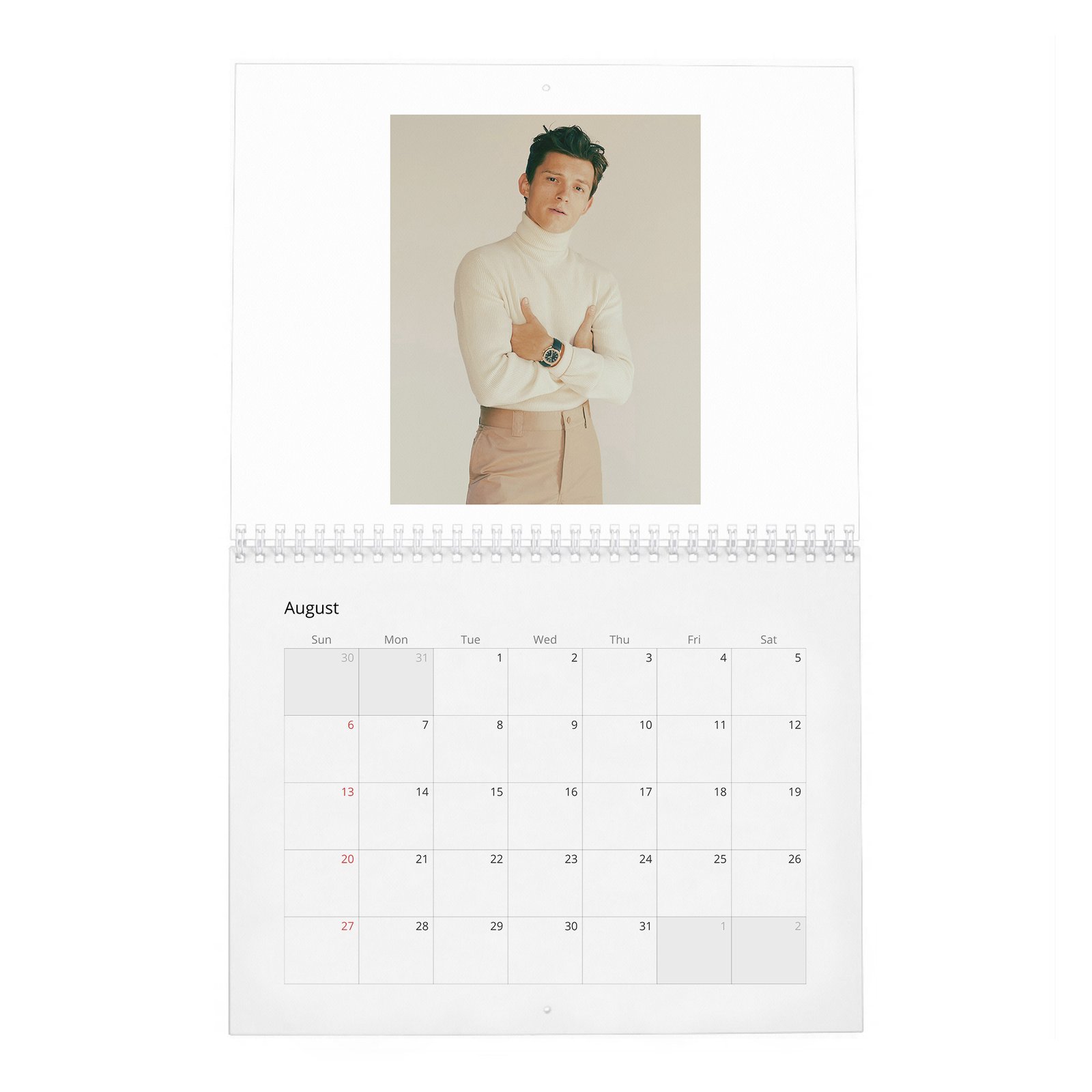 Tom Holland - Braces For Impact 2027 Wall Calendar