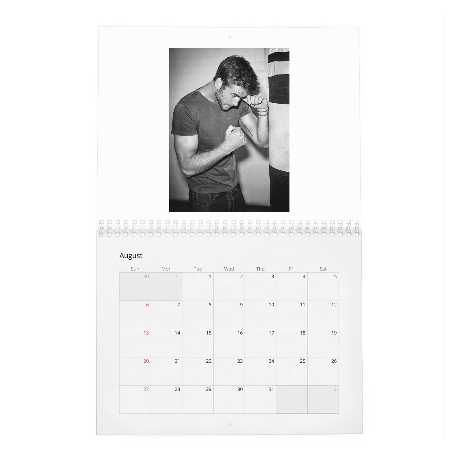 08 Liam Hemsworth - A Force Of Nature 2027 Wall Calendar