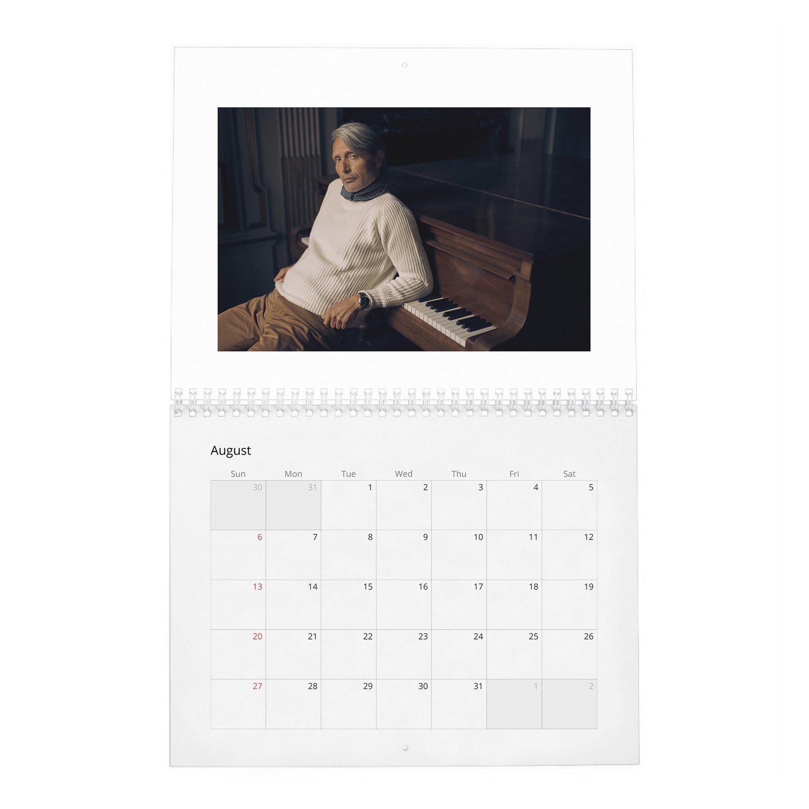 Mads Mikkelsen - The Great Dane 2027 Wall Calendar