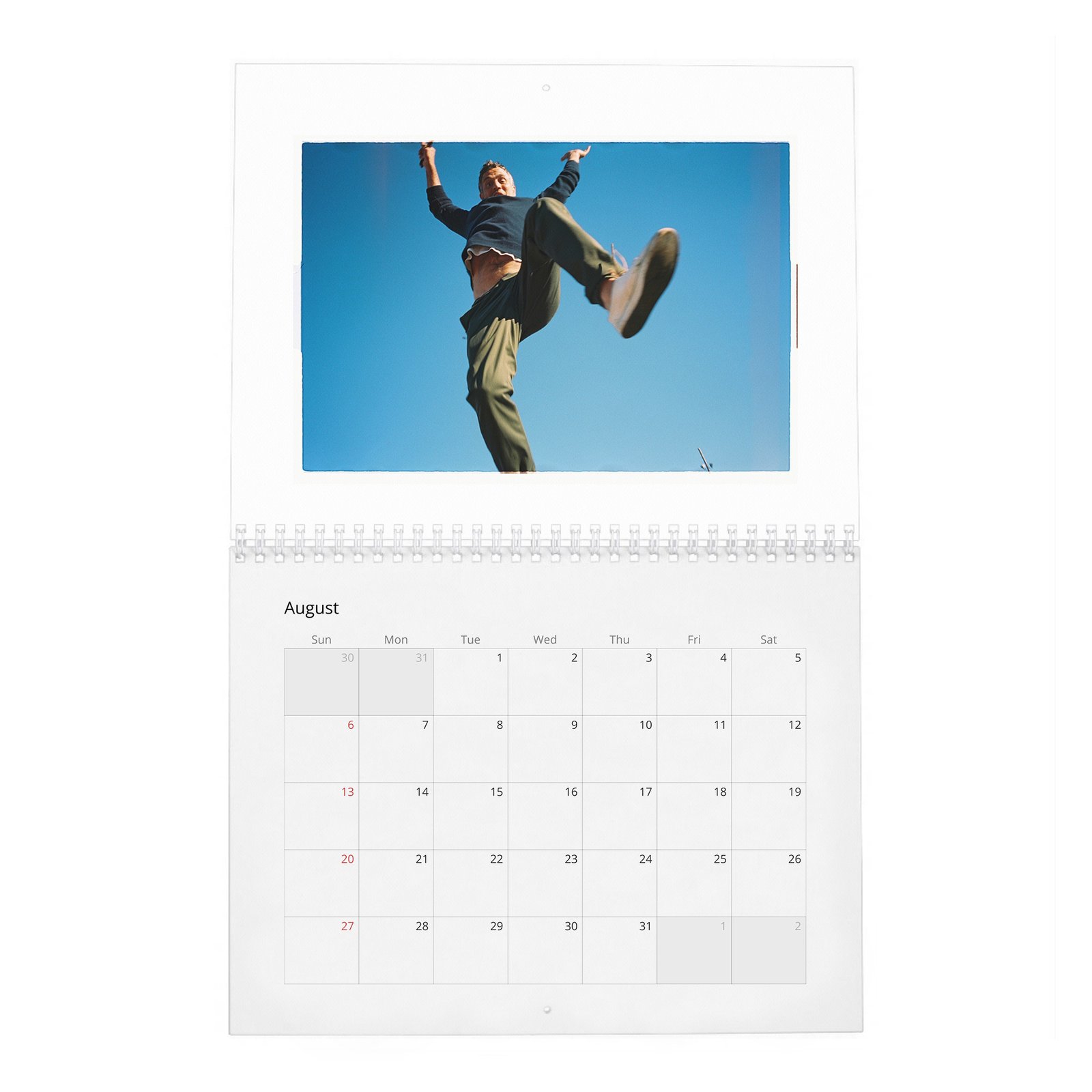 08 Mark Ruffalo - So It Goes 2027 Wall Calendar