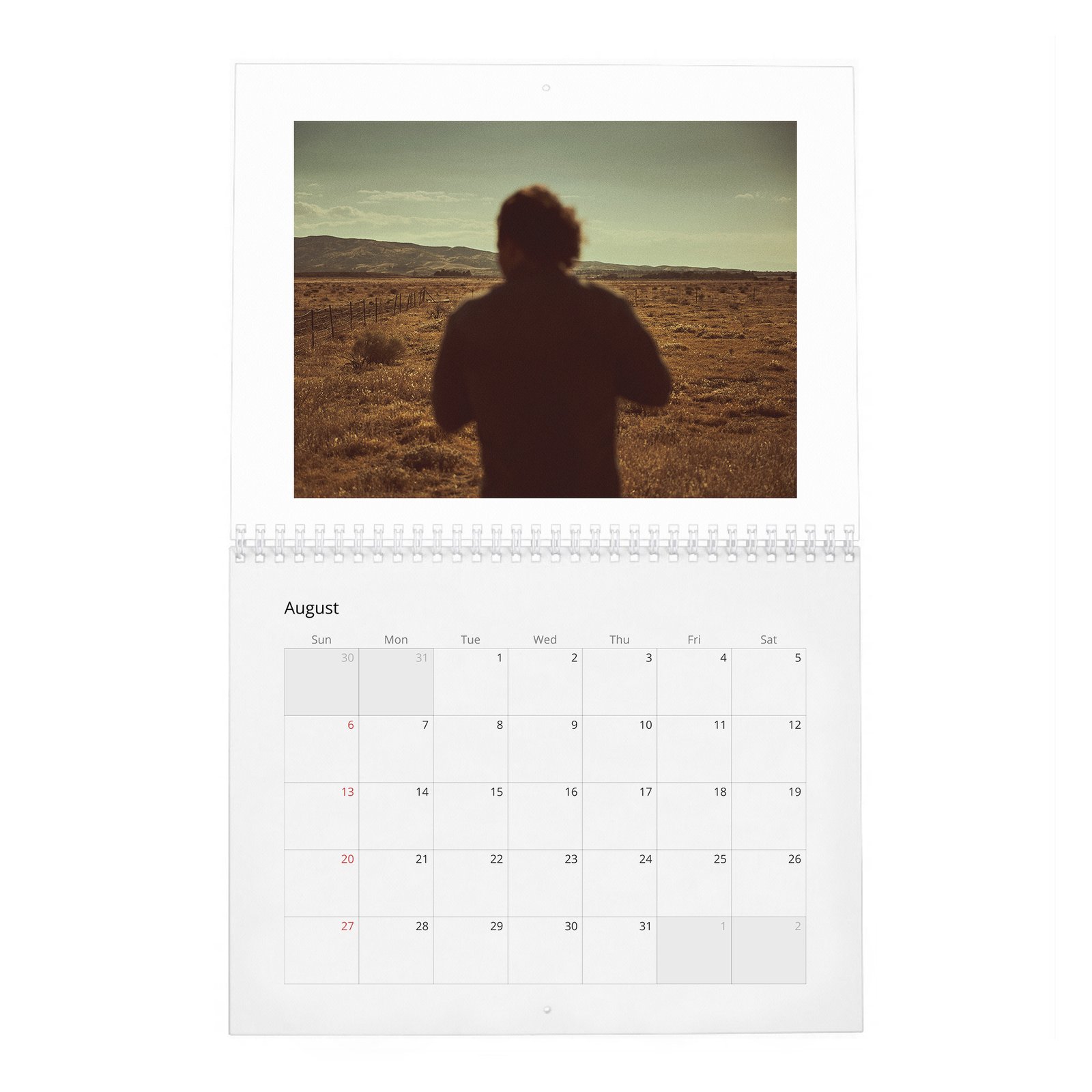 08 Matthew McConaughey - Reinvents Himself 2027 Wall Calendar