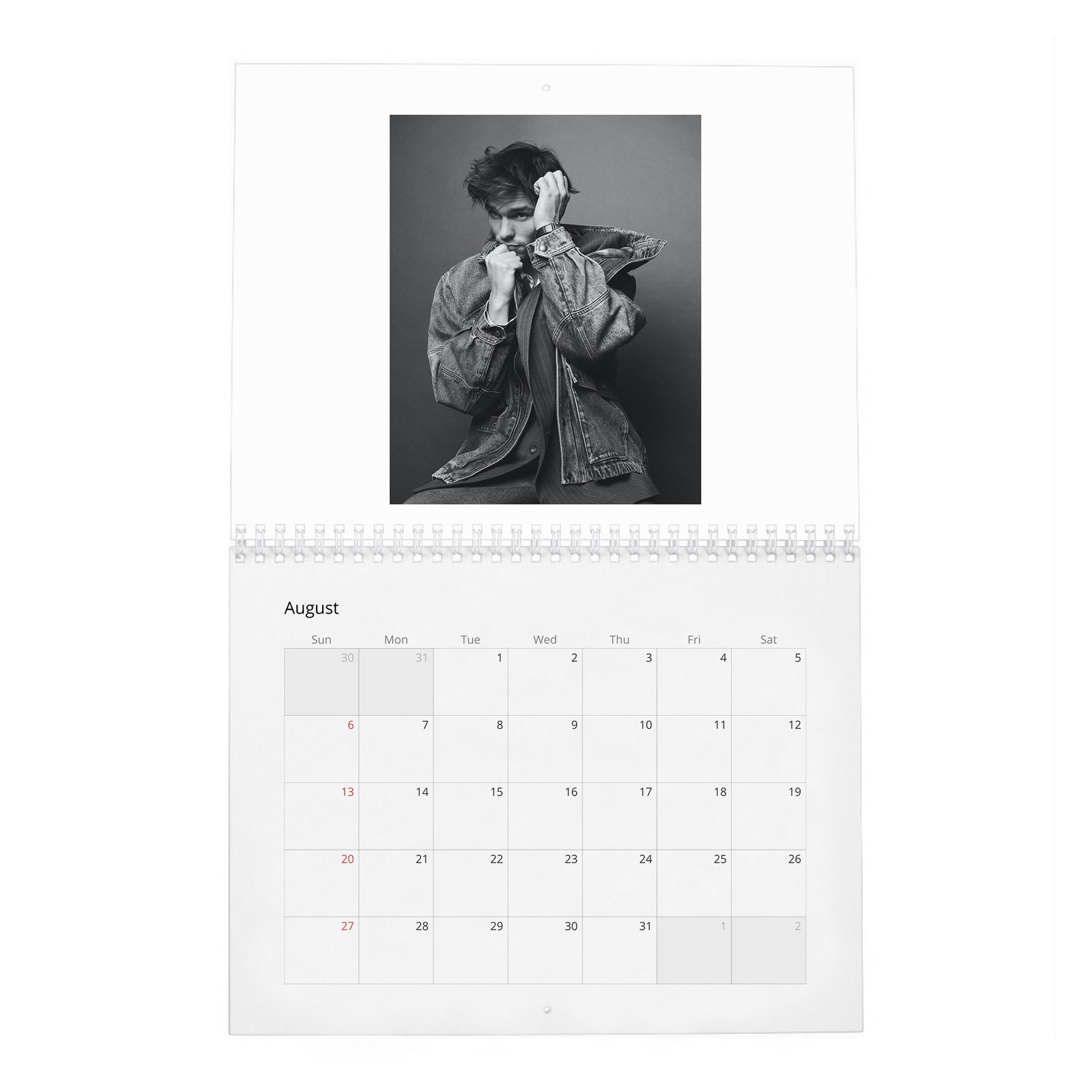 Nicholas Hoult - The Great 2027 Wall Calendar