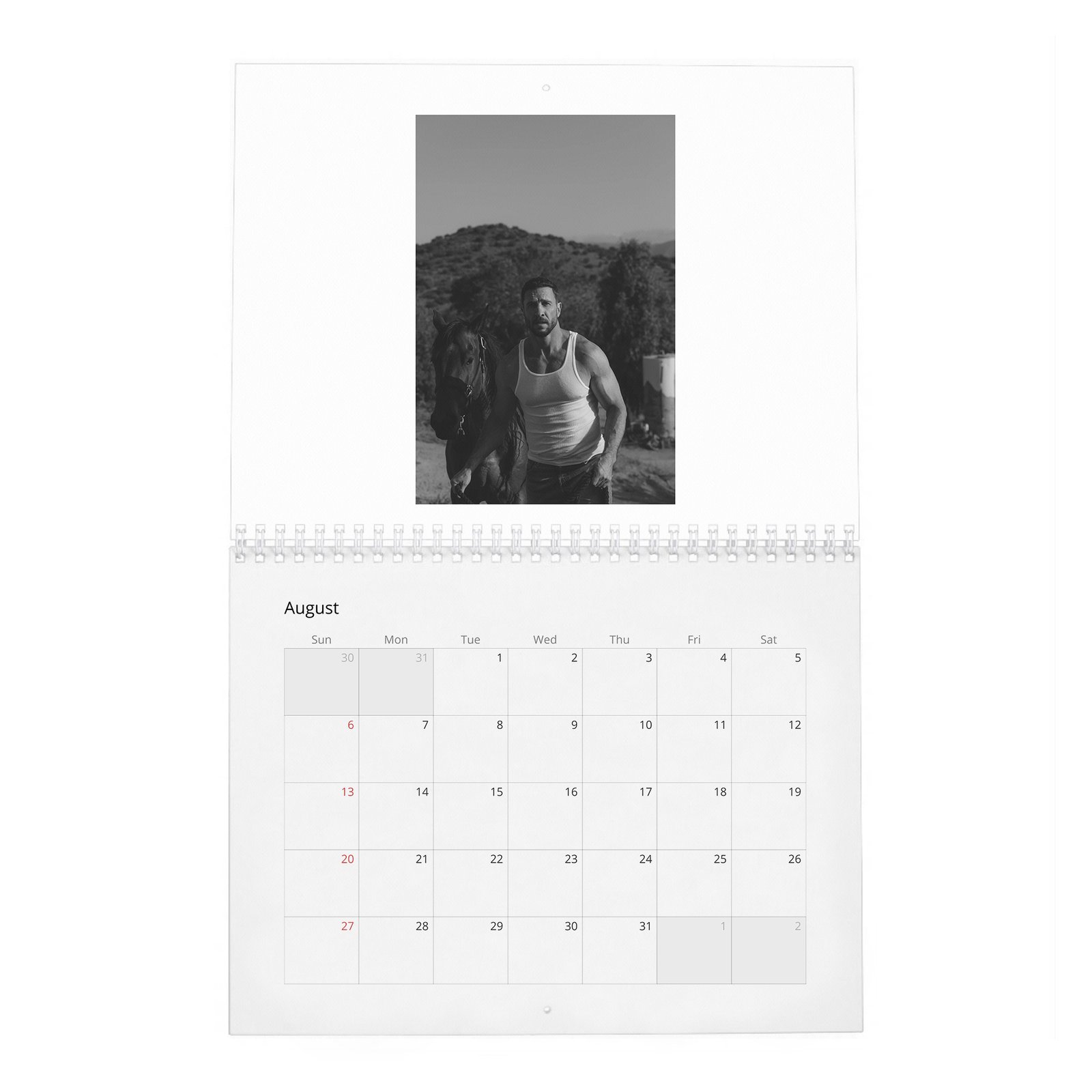 08 Pablo Schreiber - Superhero Warrior 2027 Wall Calendar