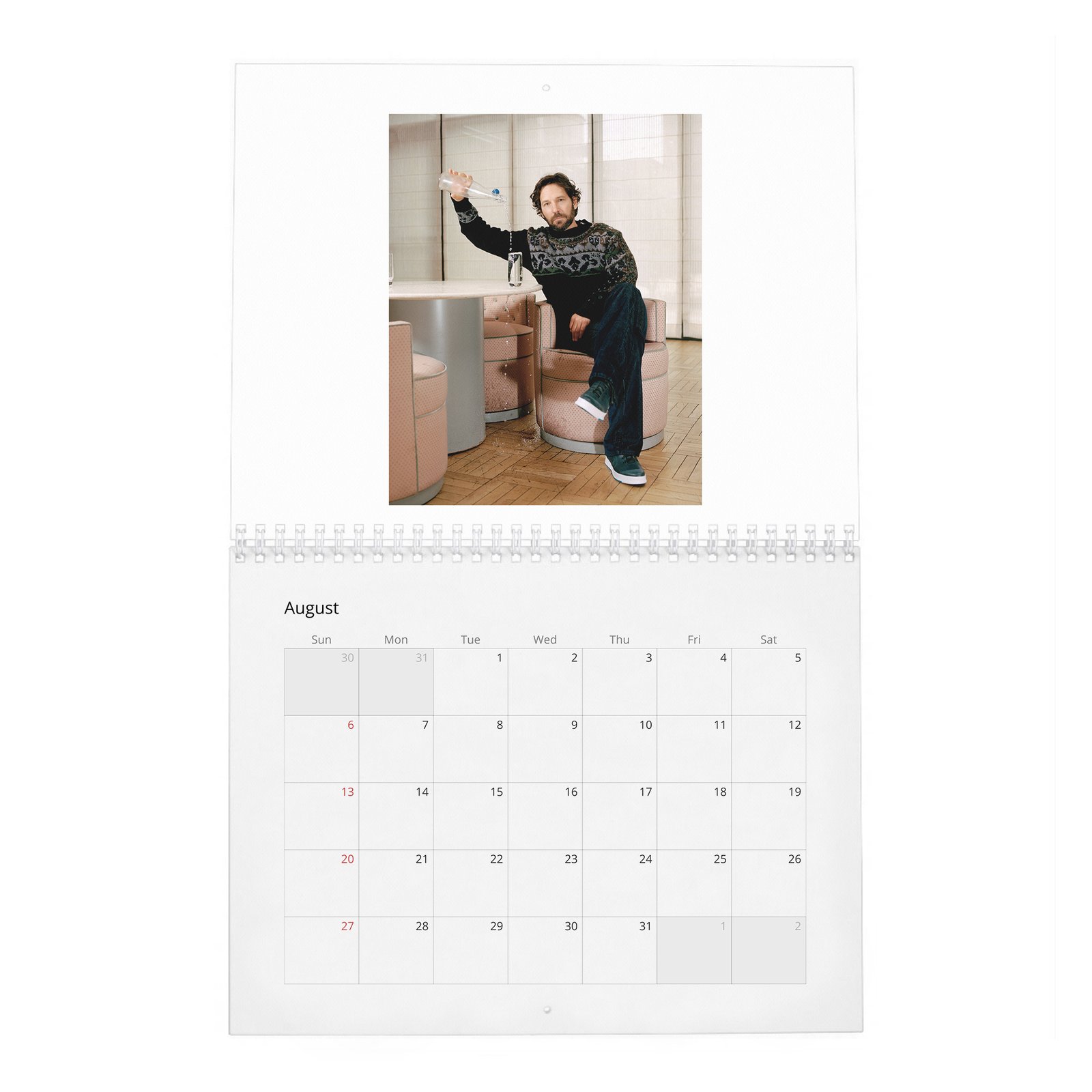 Paul Rudd - Outside His Wheelhouse 2027 Wall Calendar