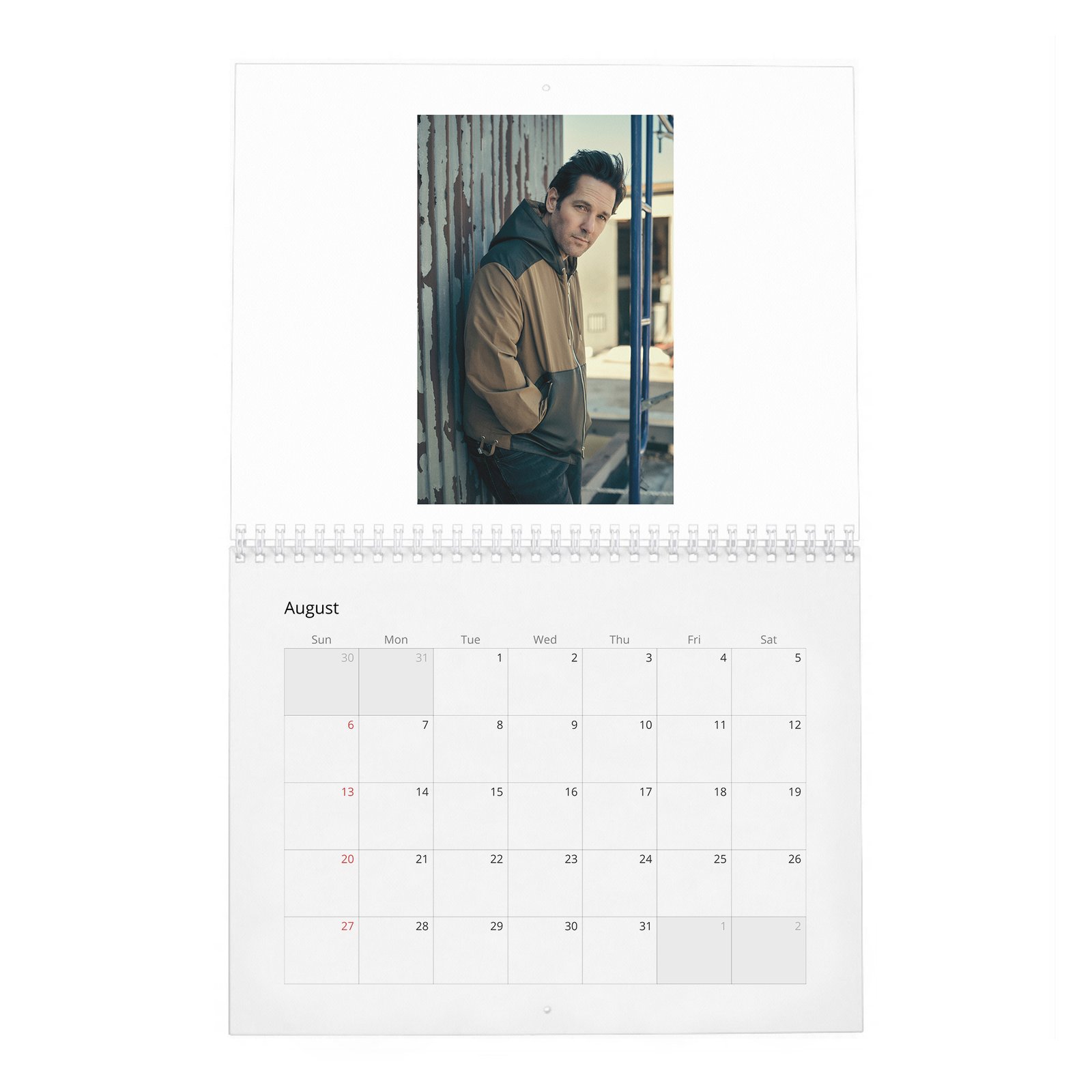 08 Paul Rudd - The Pole Vaulter 2027 Wall Calendar