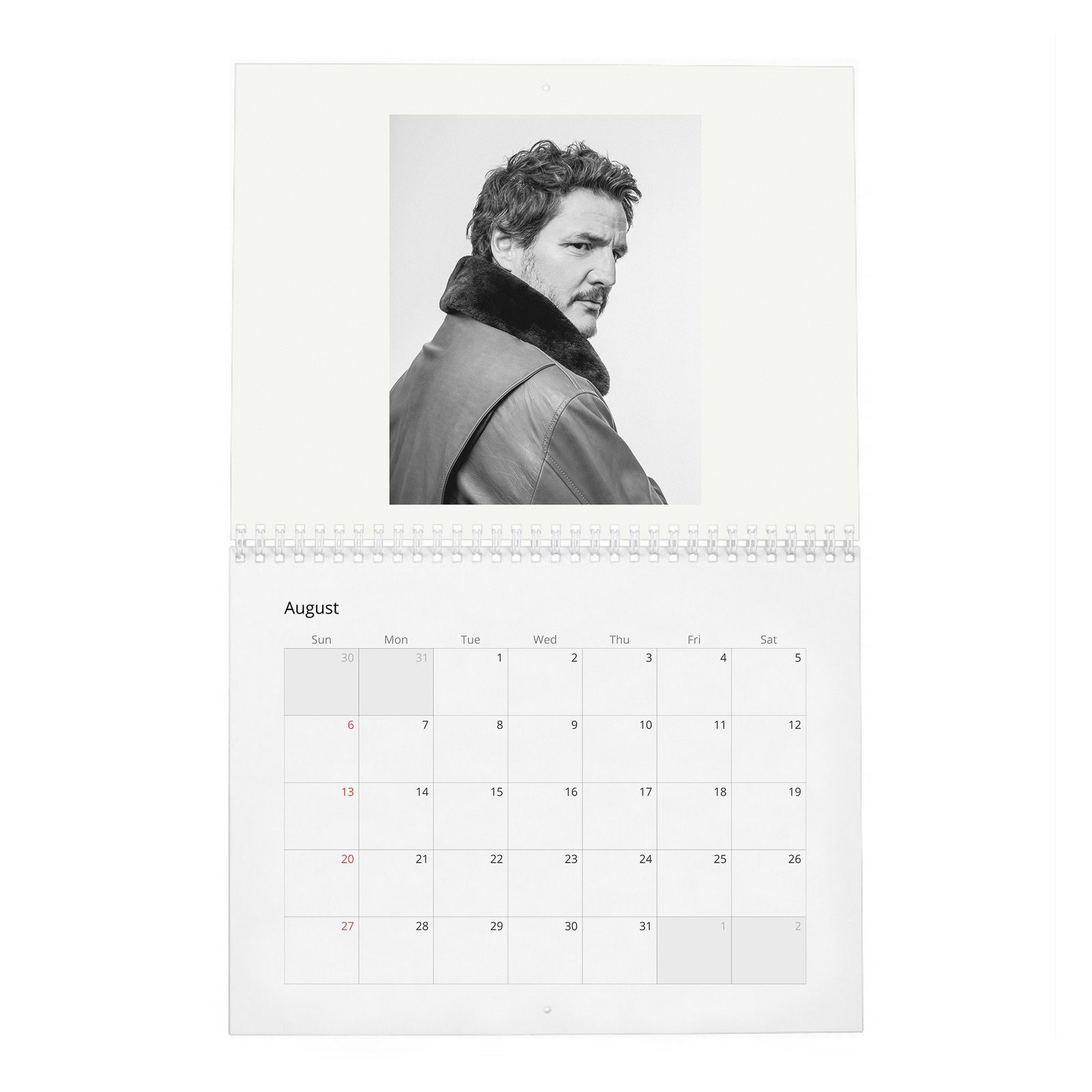 08 Pedro Pascal - Flaunt 2027 Wall Calendar