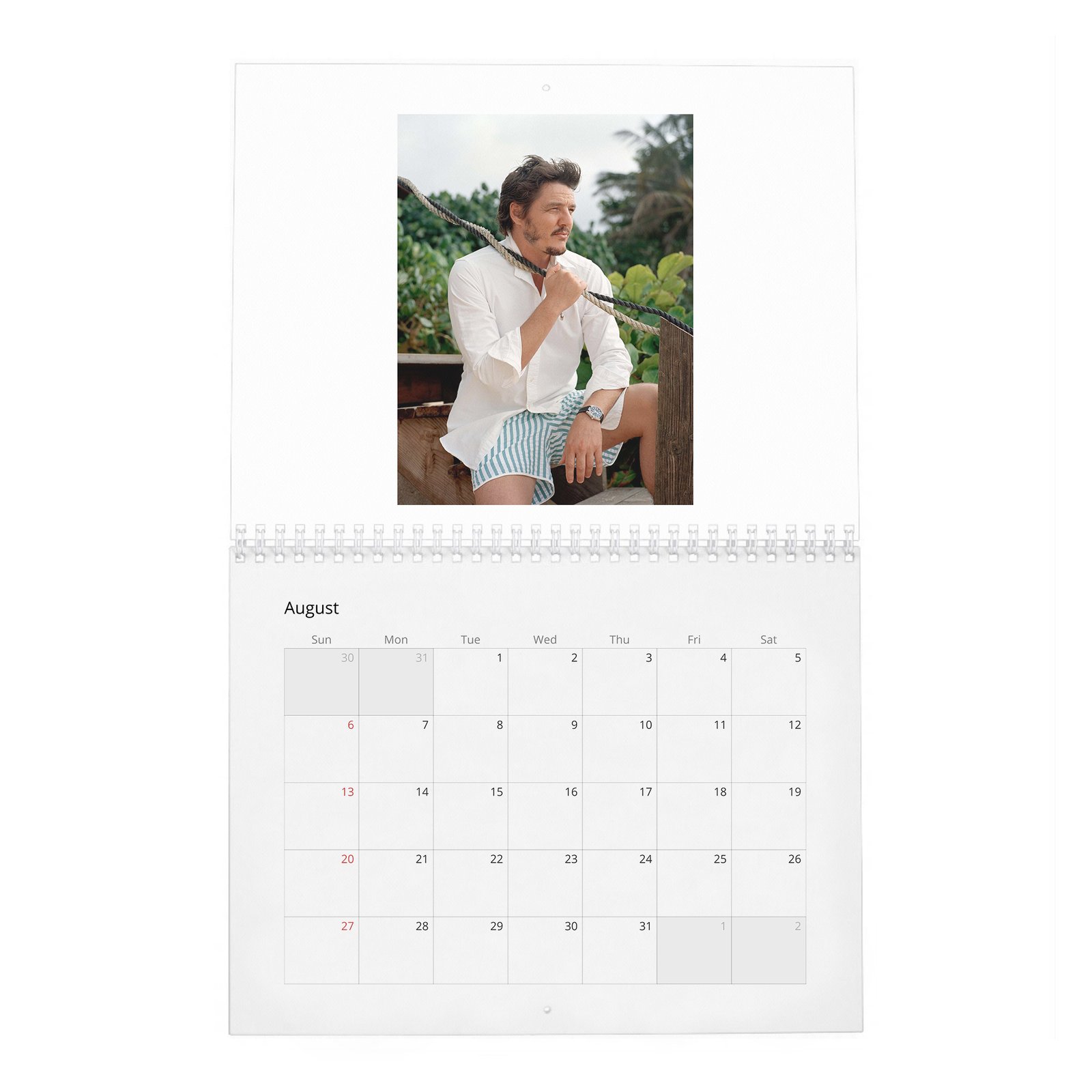 08 Pedro Pascal - In Paradise 2027 Wall Calendar