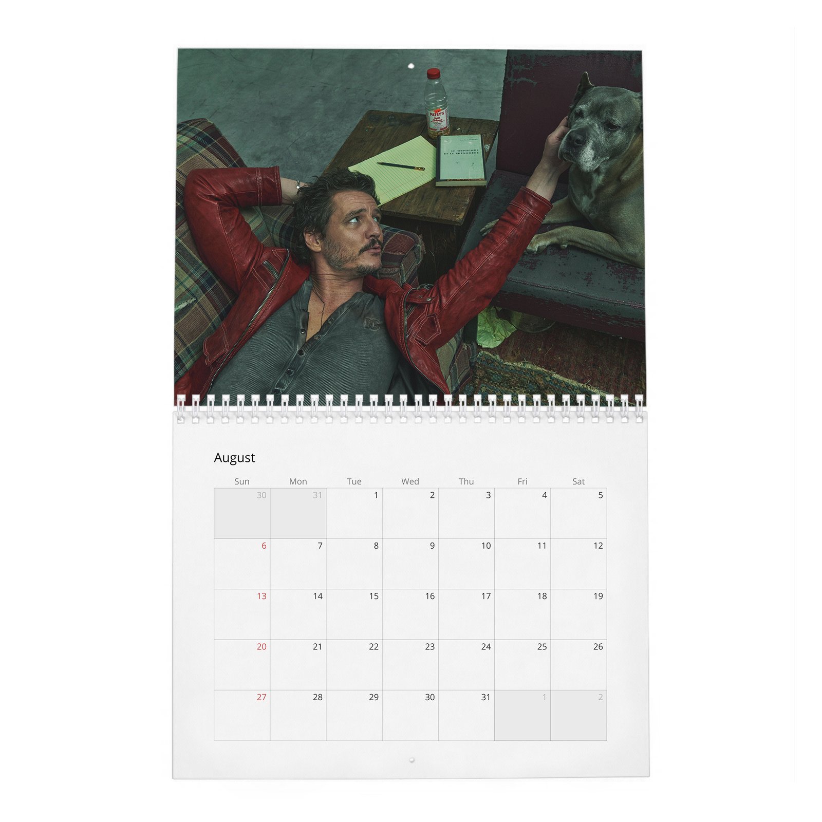 08 Pedro Pascal - The Dangerously Charming 2027 Wall Calendar