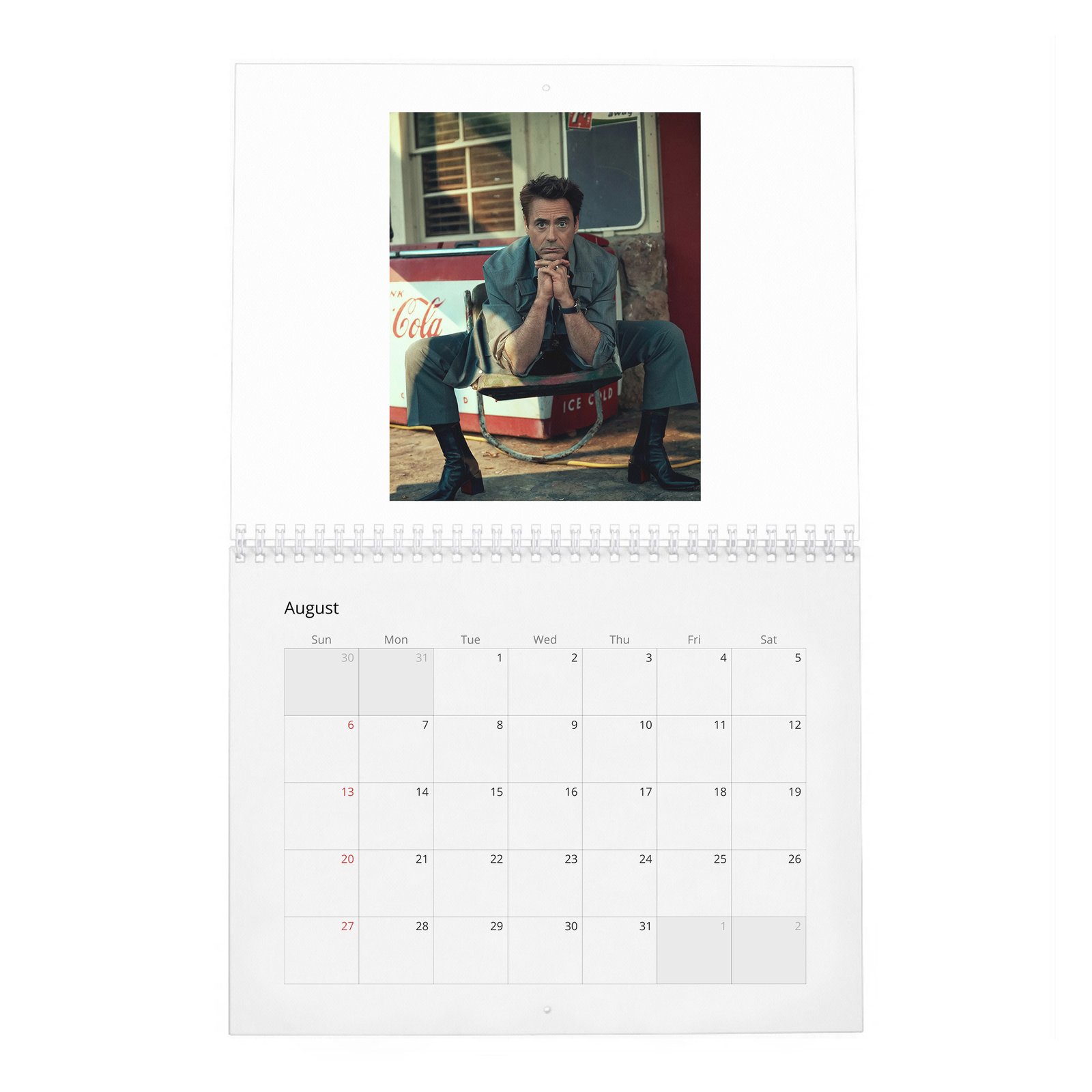 08 Robert Downey Jr. - Acts Up 2027 Wall Calendar