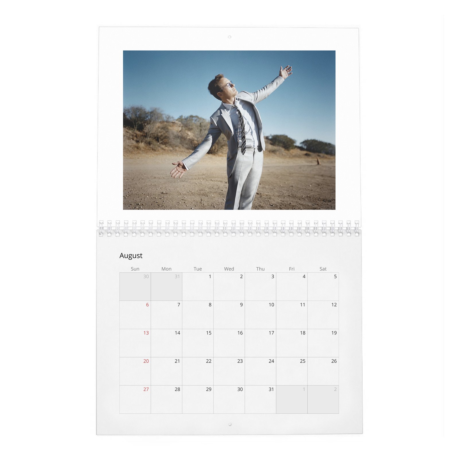08 Robert Downey Jr. - The Complete 2027 Wall Calendar