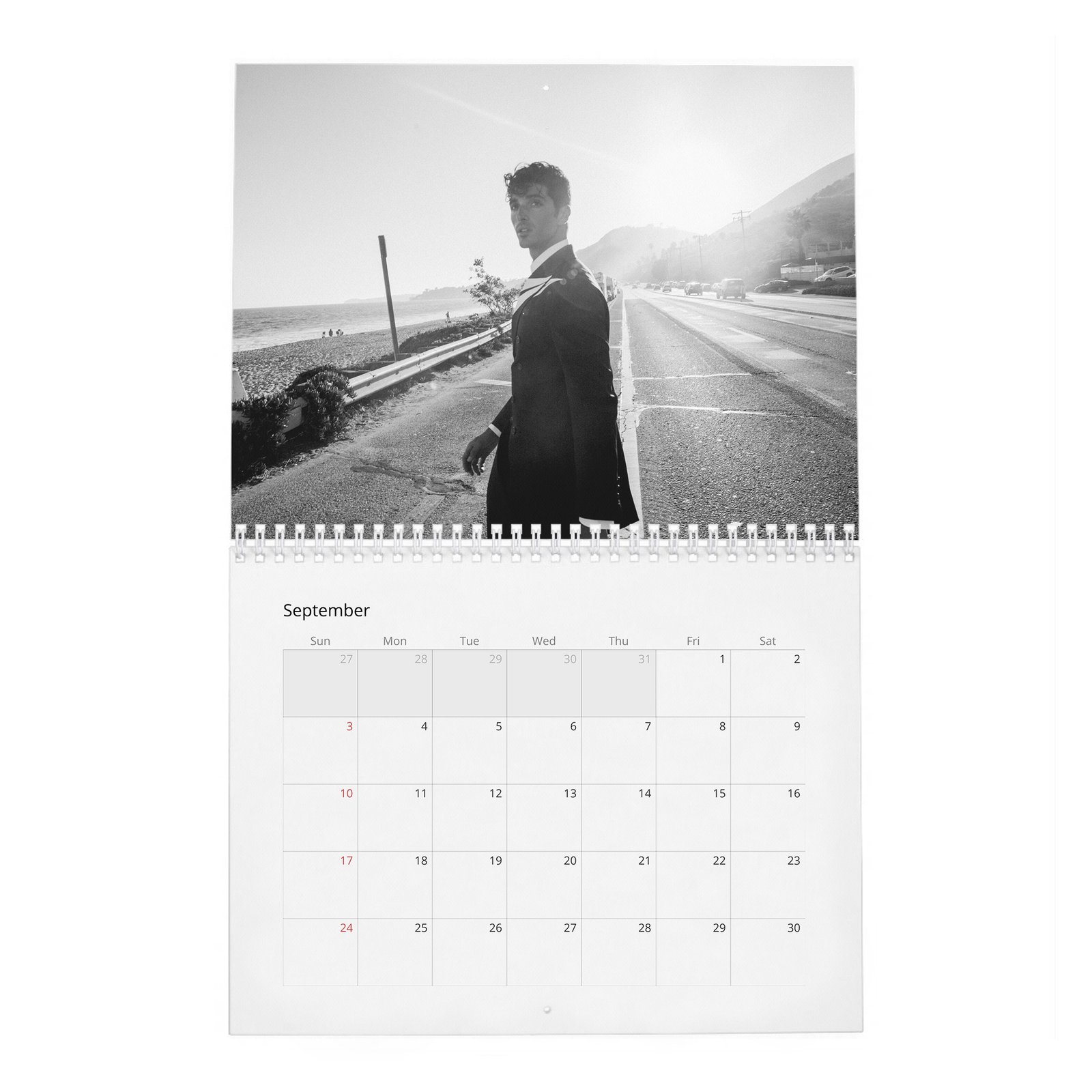 Taylor Zakhar Perez - Content 2027 Wall Calendar