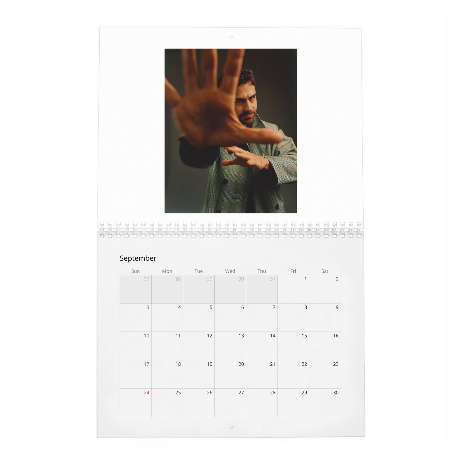 09 Theo James - Objectification And Being A Heart-Throb 2027 Wall Calendar
