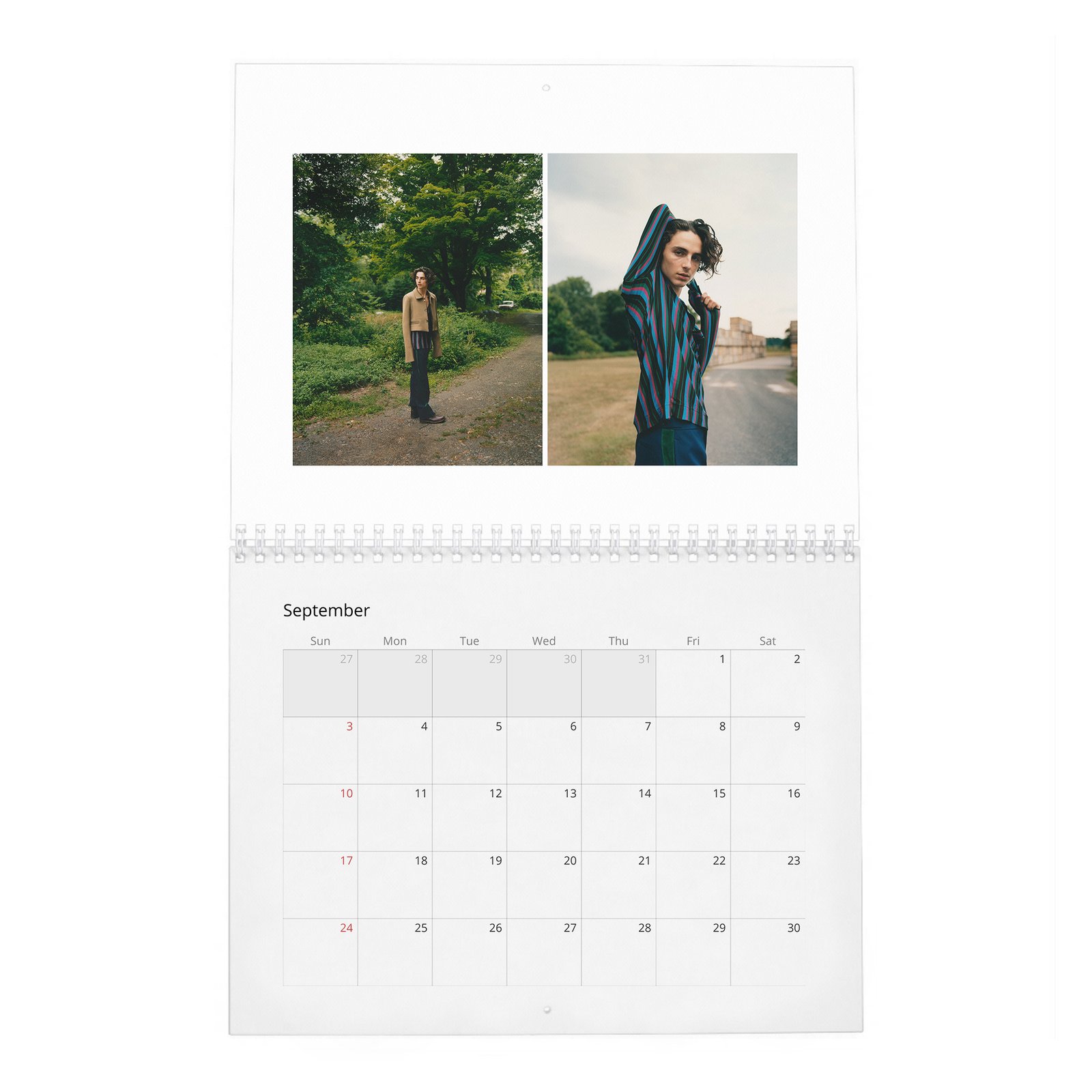 09 Timothée Chalamet - Hiding Out In Woodstock With 2027 Wall Calendar