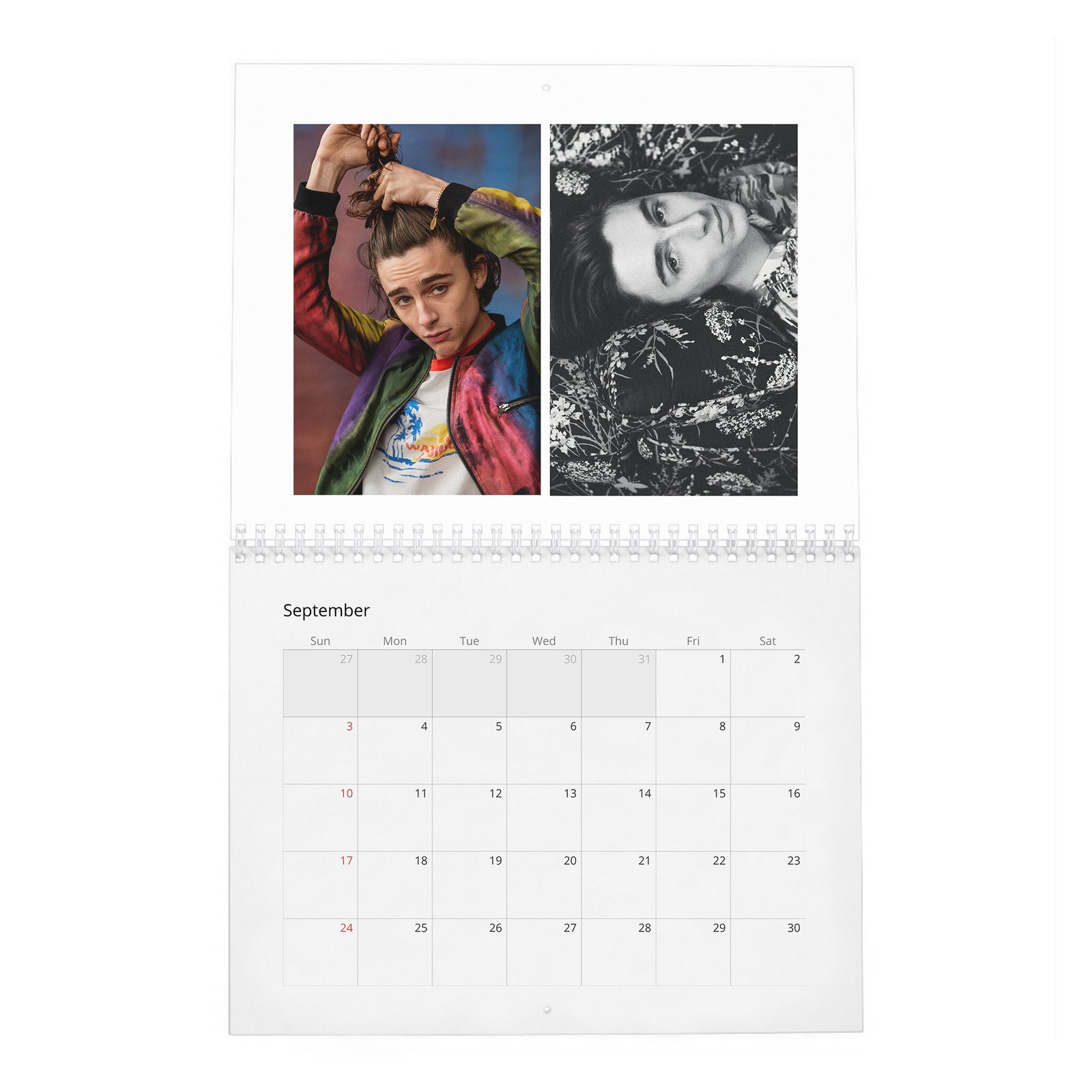 Timothée Chalamet - The Arrival Of 2027 Wall Calendar