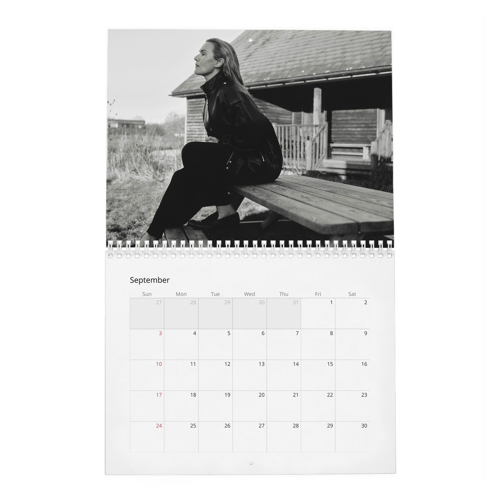 Kate Winslet - Star Power 2027 Wall Calendar