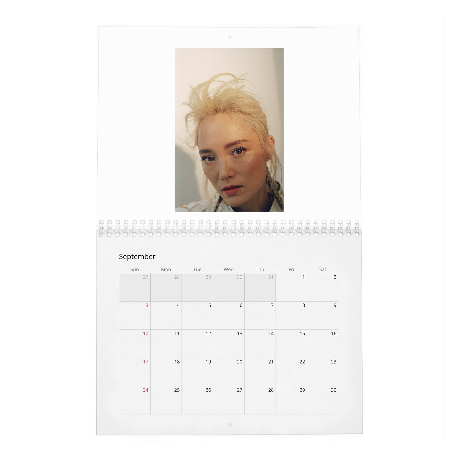 09 Pom Klementieff - Laterals 2027 Wall Calendar