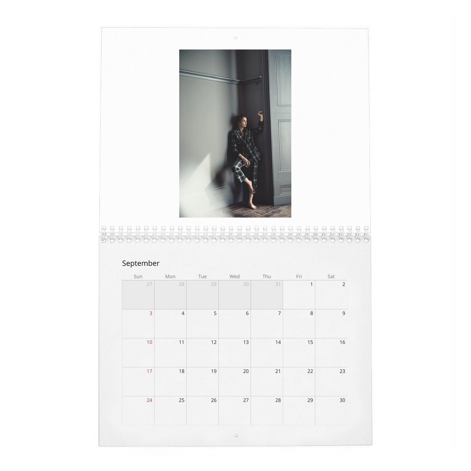 09 Ruth Wilson - A Single Mind 2027 Wall Calendar