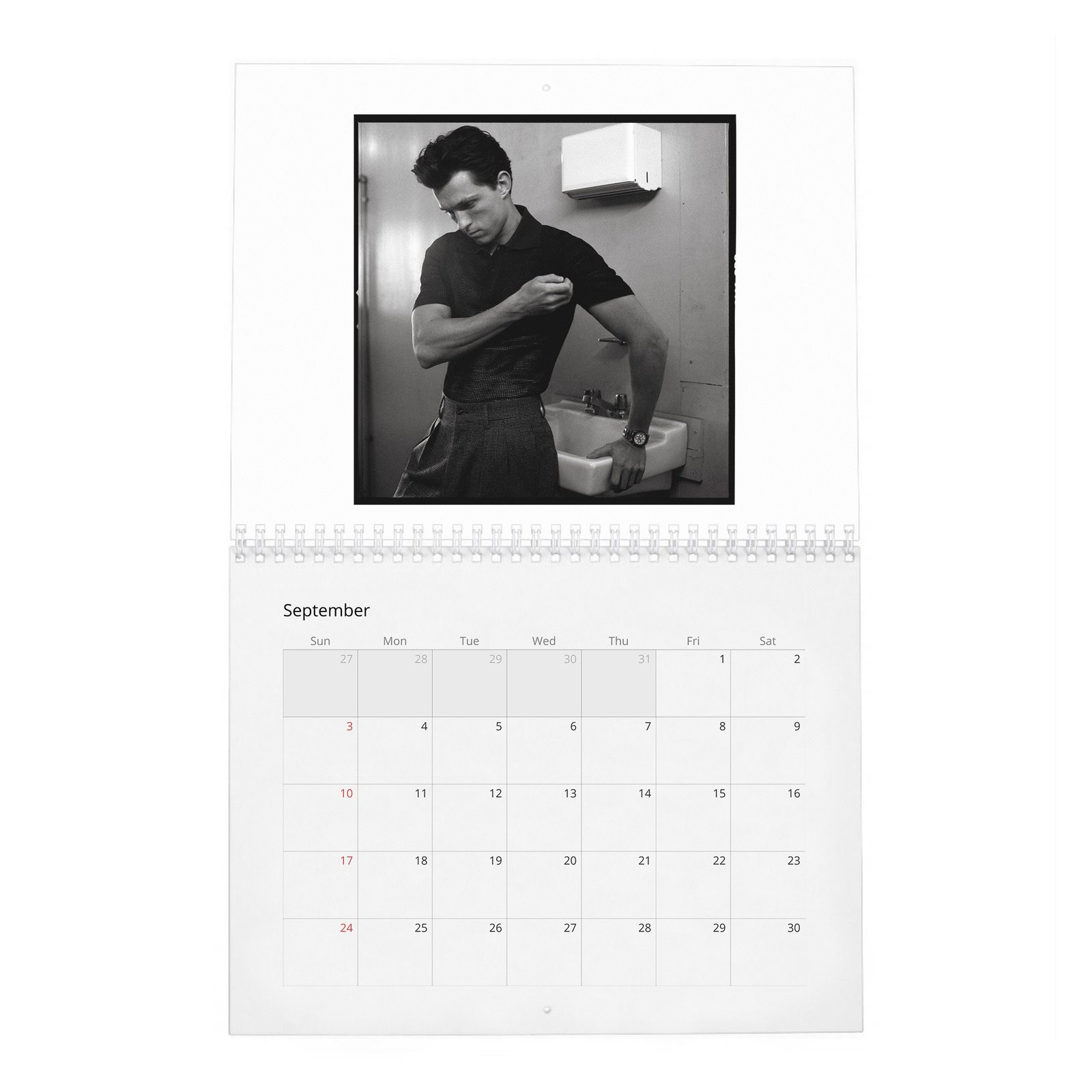 09 Tom Holland - The Charm And Grit Of 2027 Wall Calendar