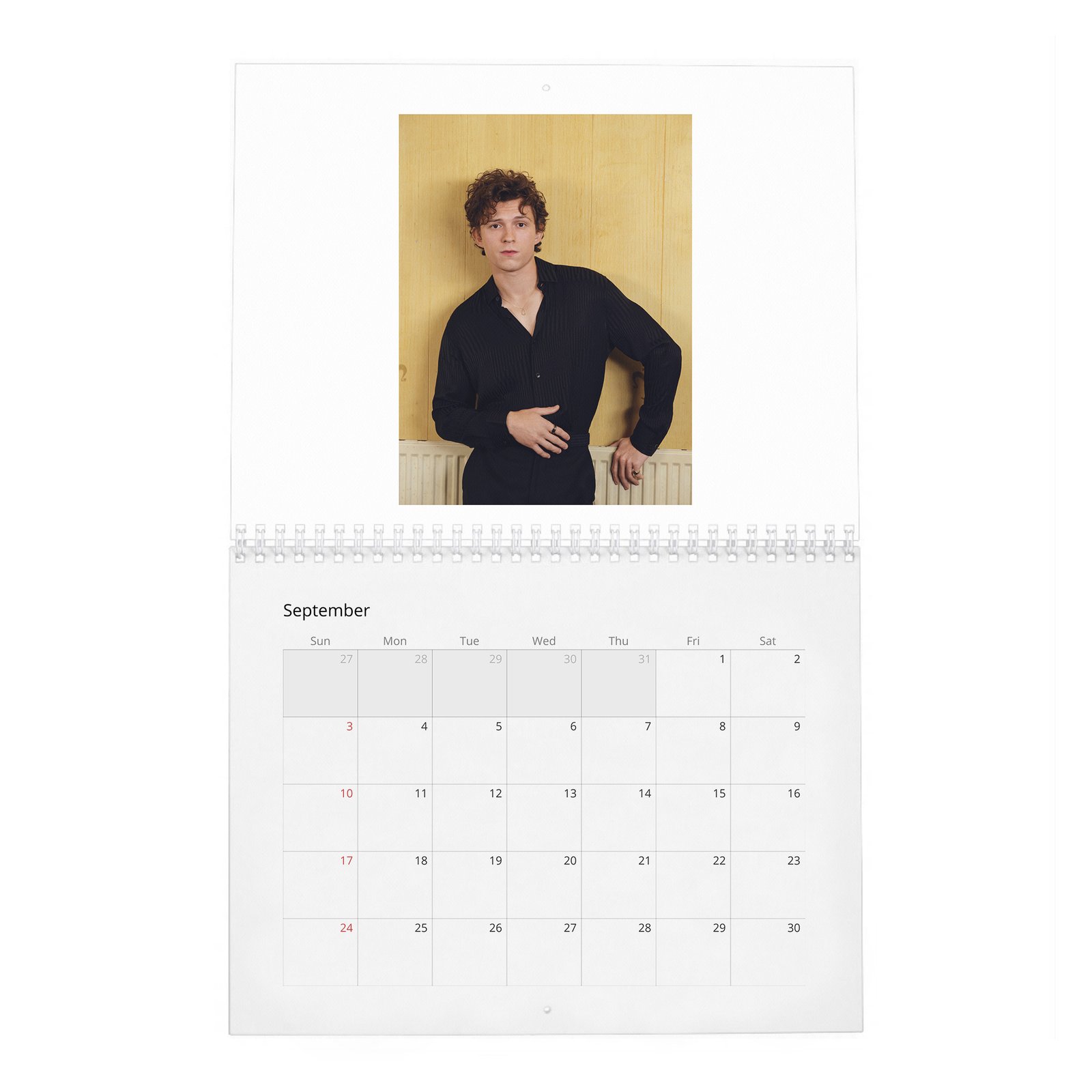 Tom Holland - The Center Of The Web 2027 Wall Calendar