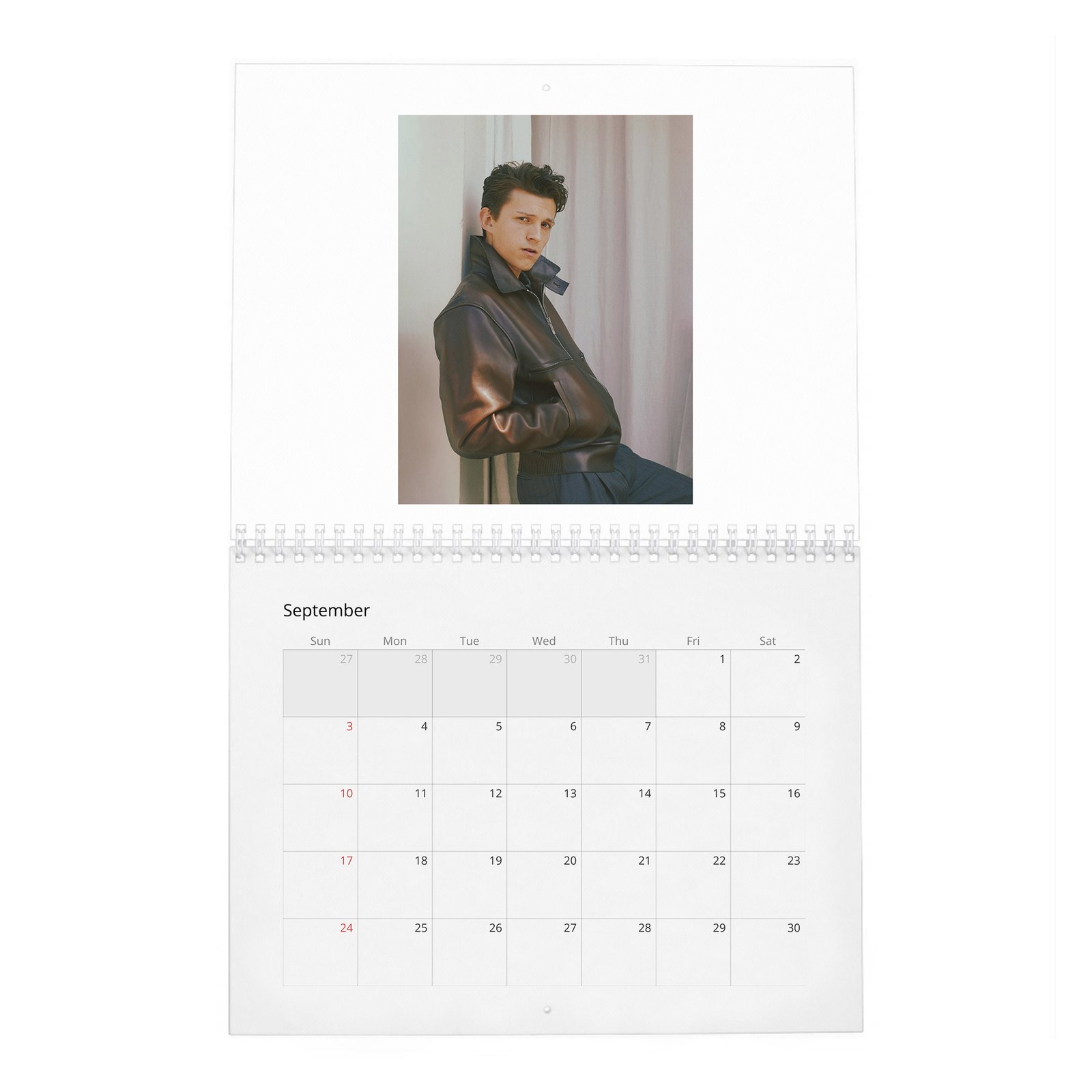 Tom Holland - Braces For Impact 2027 Wall Calendar