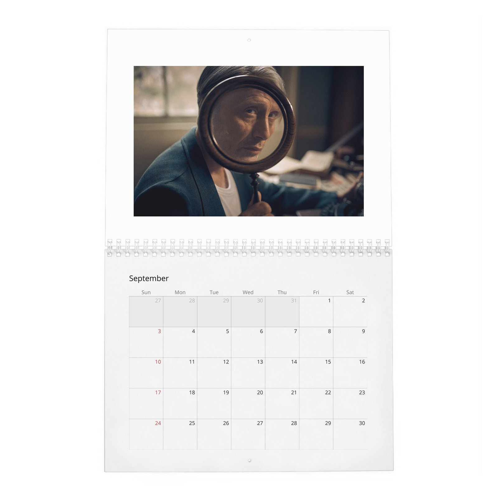 Mads Mikkelsen - The Great Dane 2027 Wall Calendar