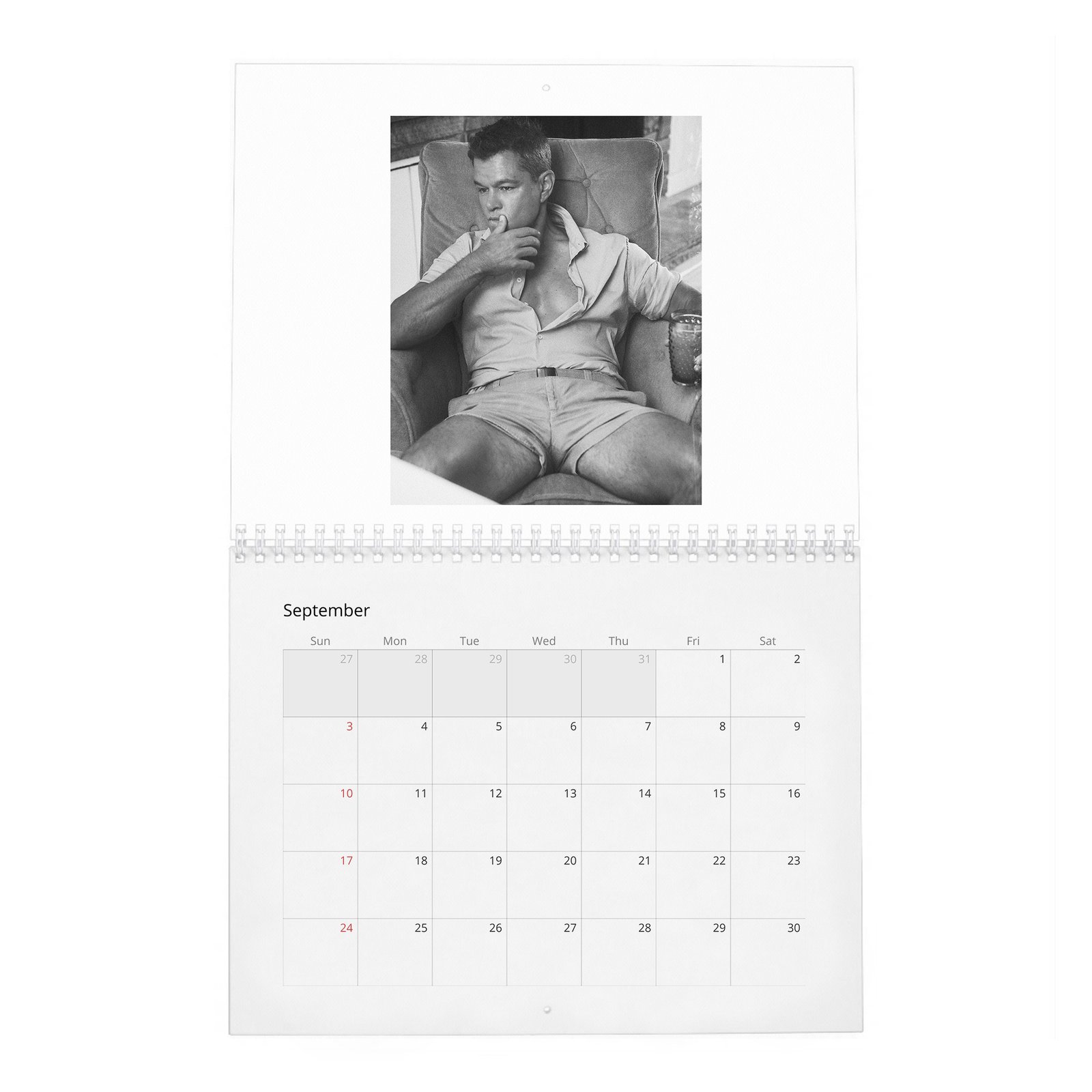 09 Matt Damon - The Evolution Of 2027 Wall Calendar