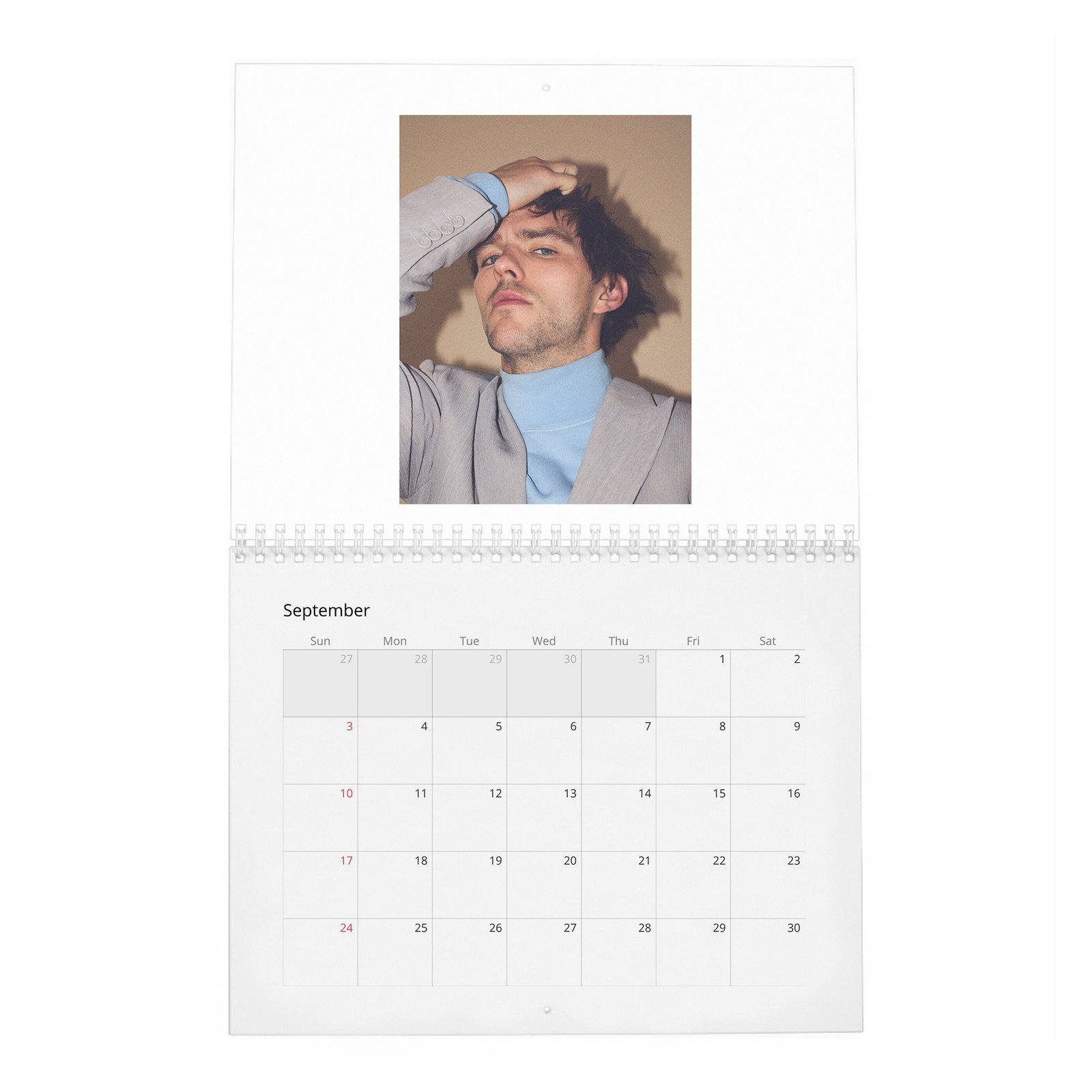 Nicholas Hoult - The Great 2027 Wall Calendar