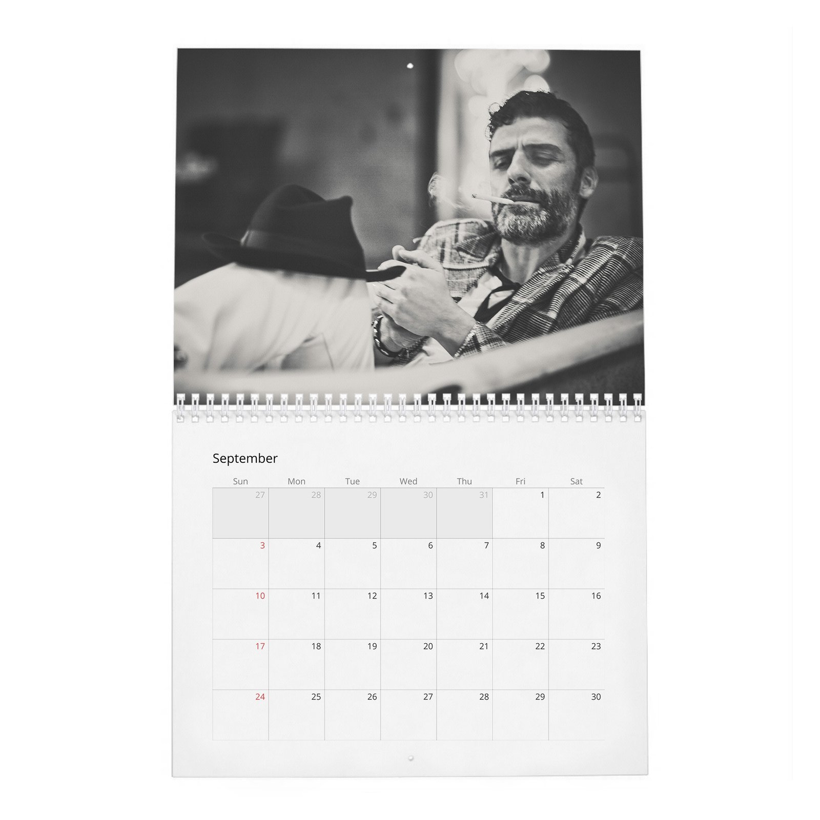 09 Oscar Isaac - The Dream Of 2027 Wall Calendar