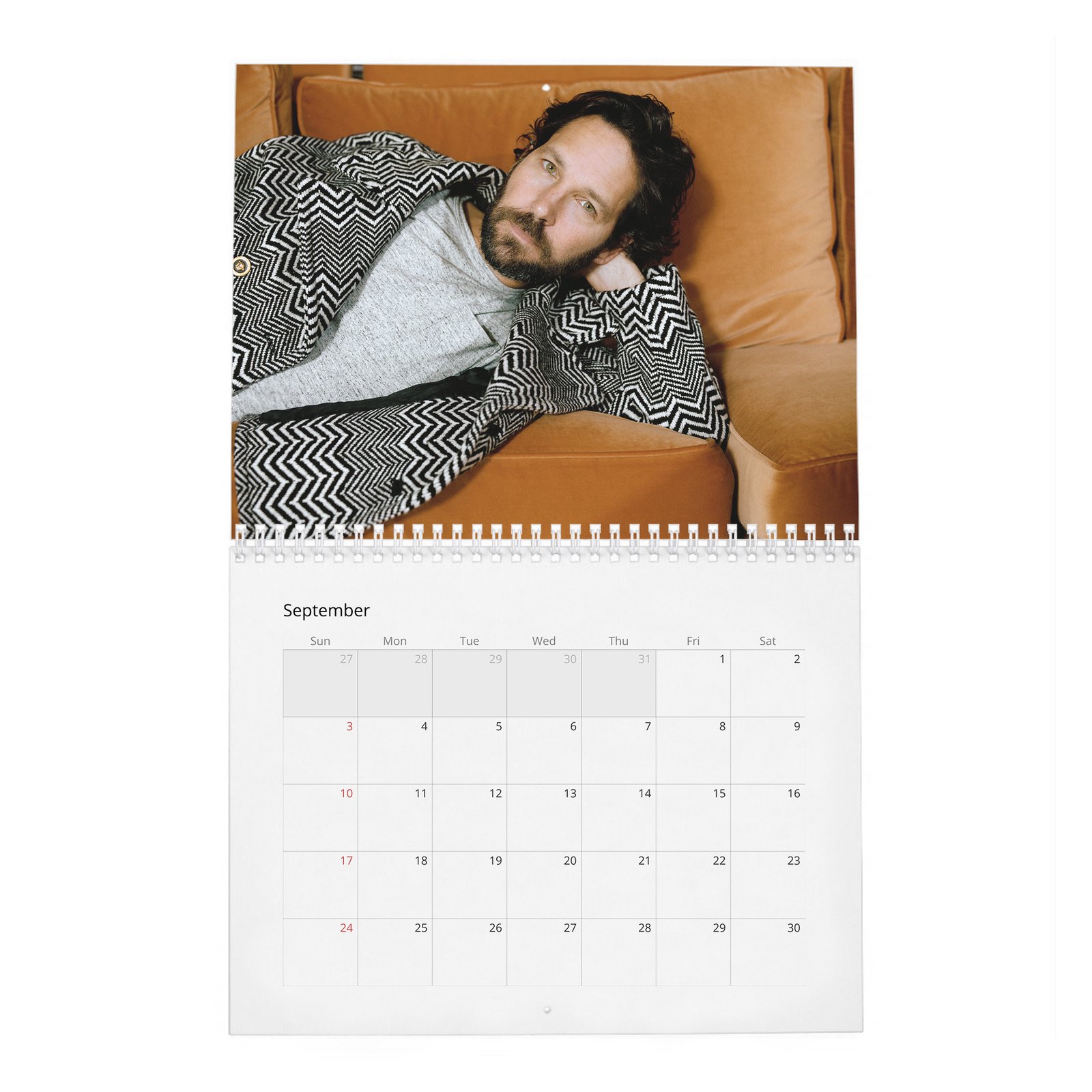 Paul Rudd - Outside His Wheelhouse 2027 Wall Calendar